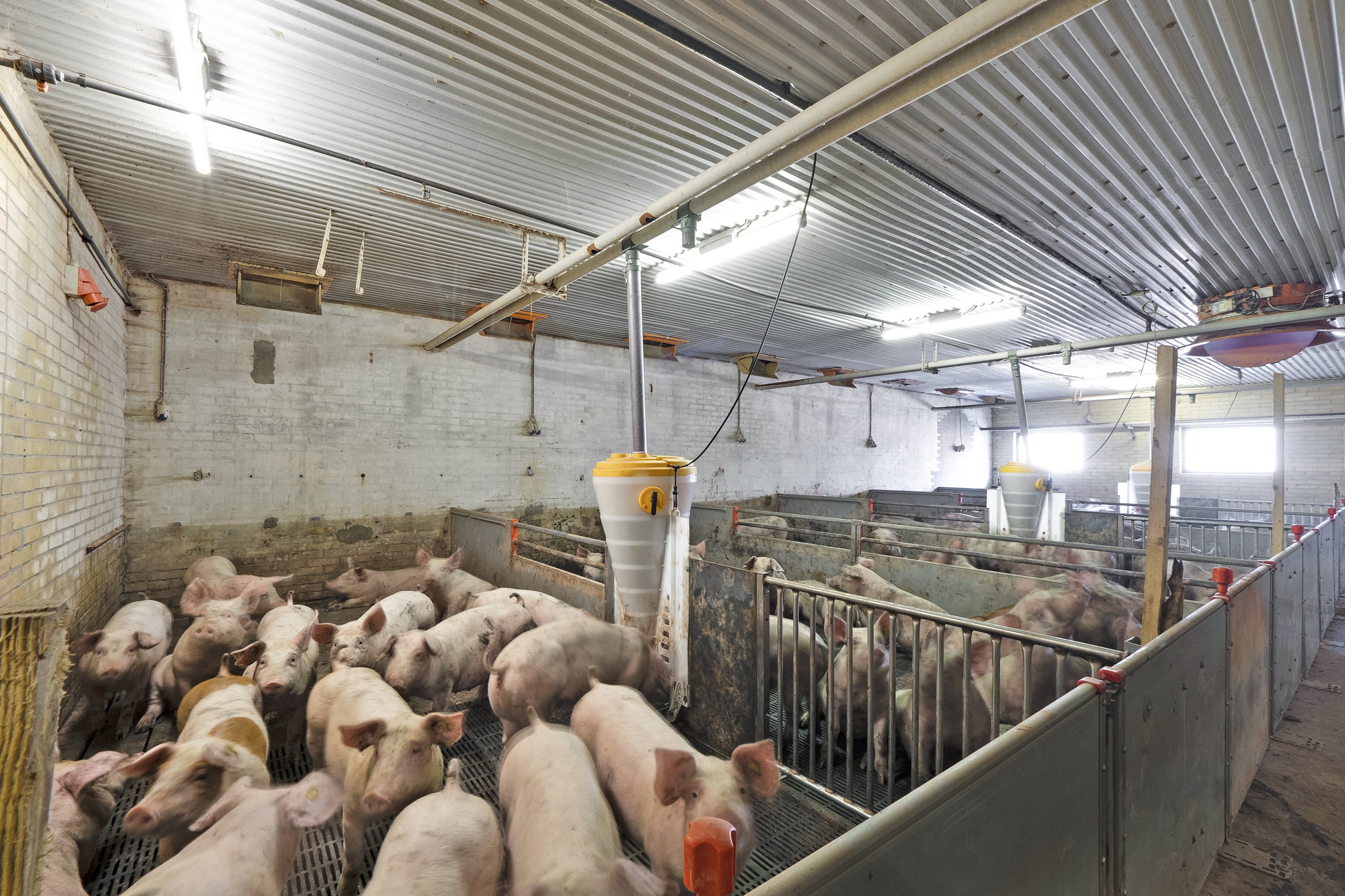 Fremhævet  billede i fuldskærmstilstand. Billede af Brogårdsvej 3, 7755 Bedsted Thy