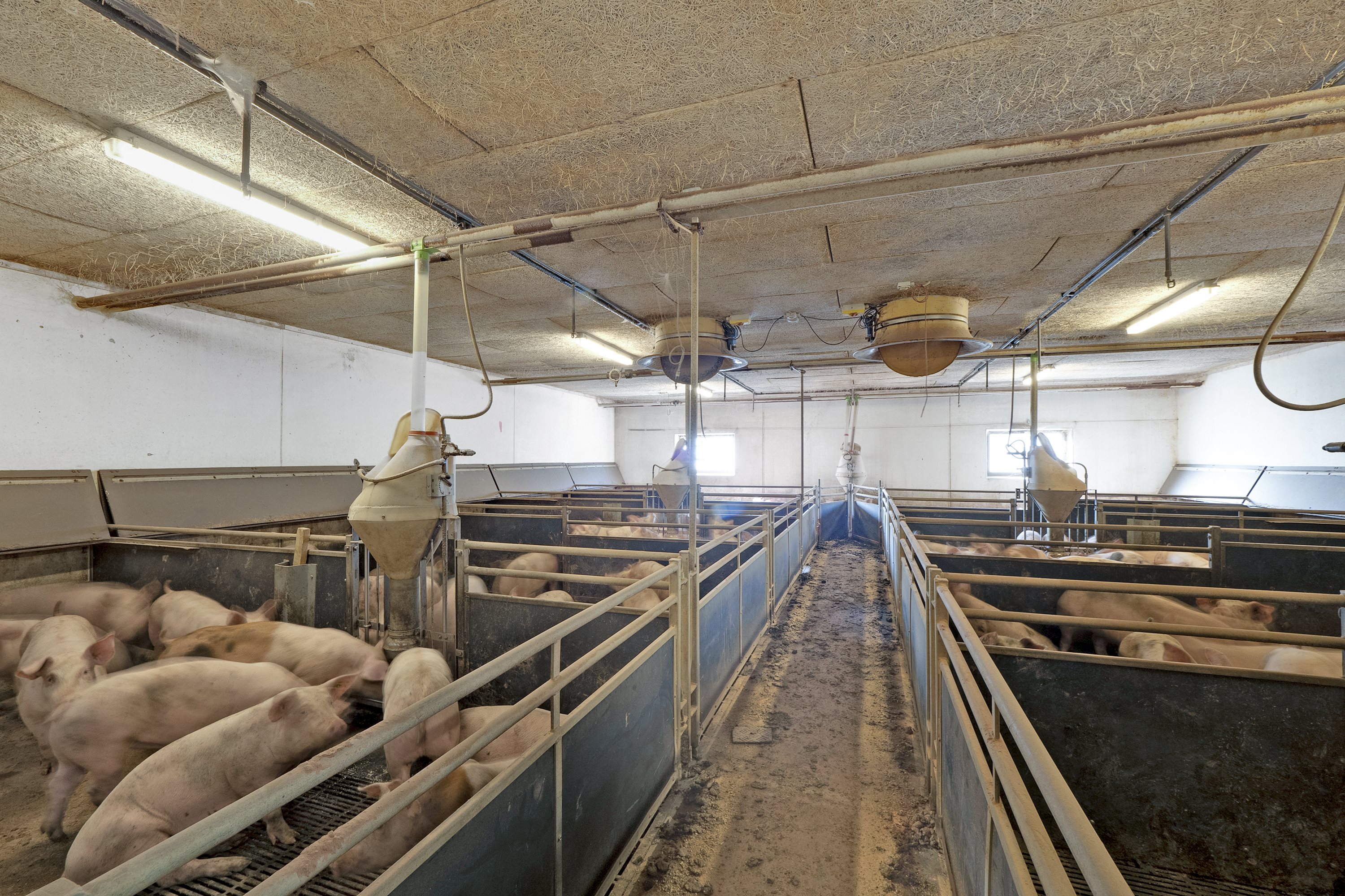 Fremhævet  billede i fuldskærmstilstand. Billede af Brogårdsvej 3, 7755 Bedsted Thy