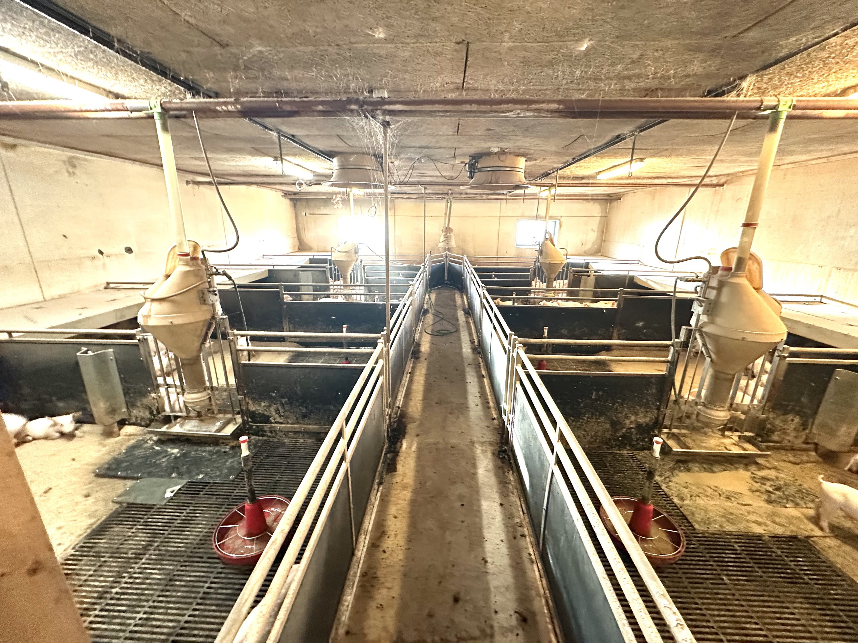 Fremhævet  billede i fuldskærmstilstand. Billede af Brogårdsvej 3, 7755 Bedsted Thy