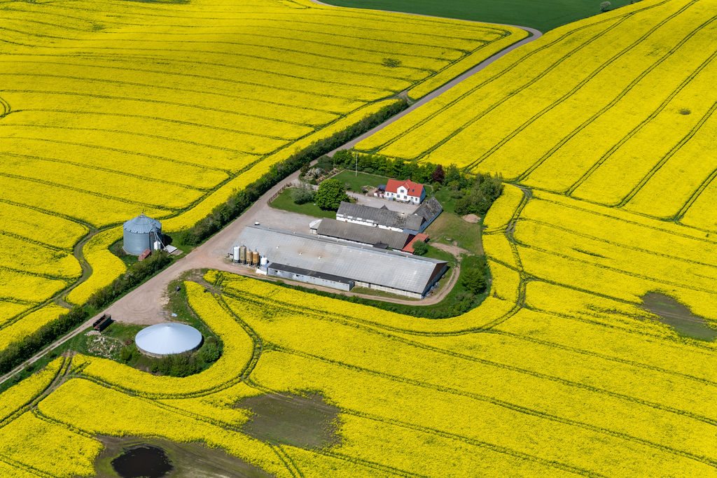 Miniaturebillede 1: . Billede af Skovendevej 5, 9750 Østervrå