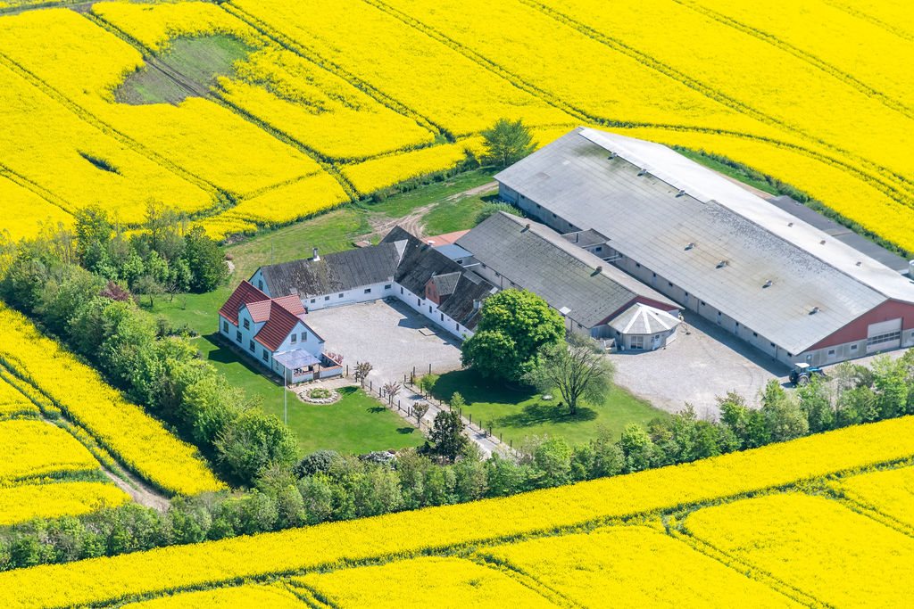 Fremhævet  billede i fuldskærmstilstand. Billede af Skovendevej 5, 9750 Østervrå