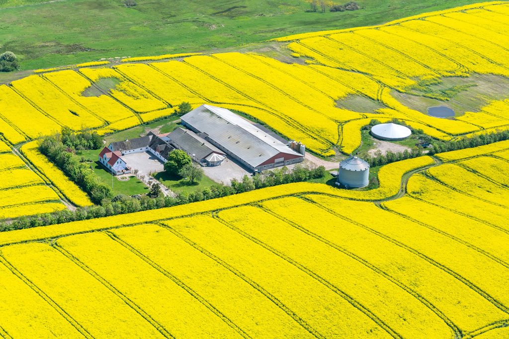 Miniaturebillede 2: . Billede af Skovendevej 5, 9750 Østervrå