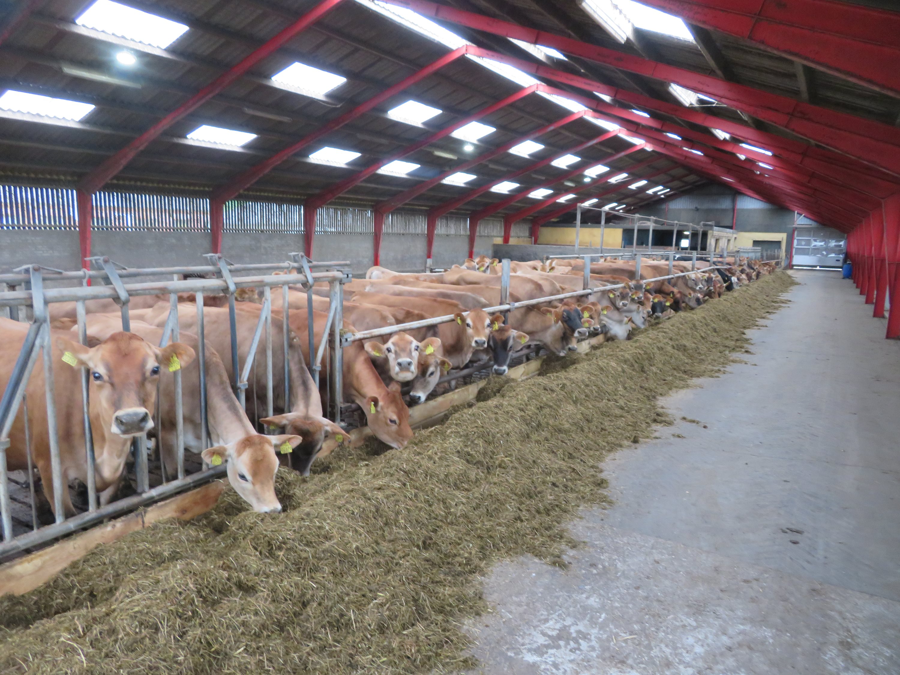 Fremhævet  billede i fuldskærmstilstand. Billede af Århusvej 70, Søften, 8382 Hinnerup