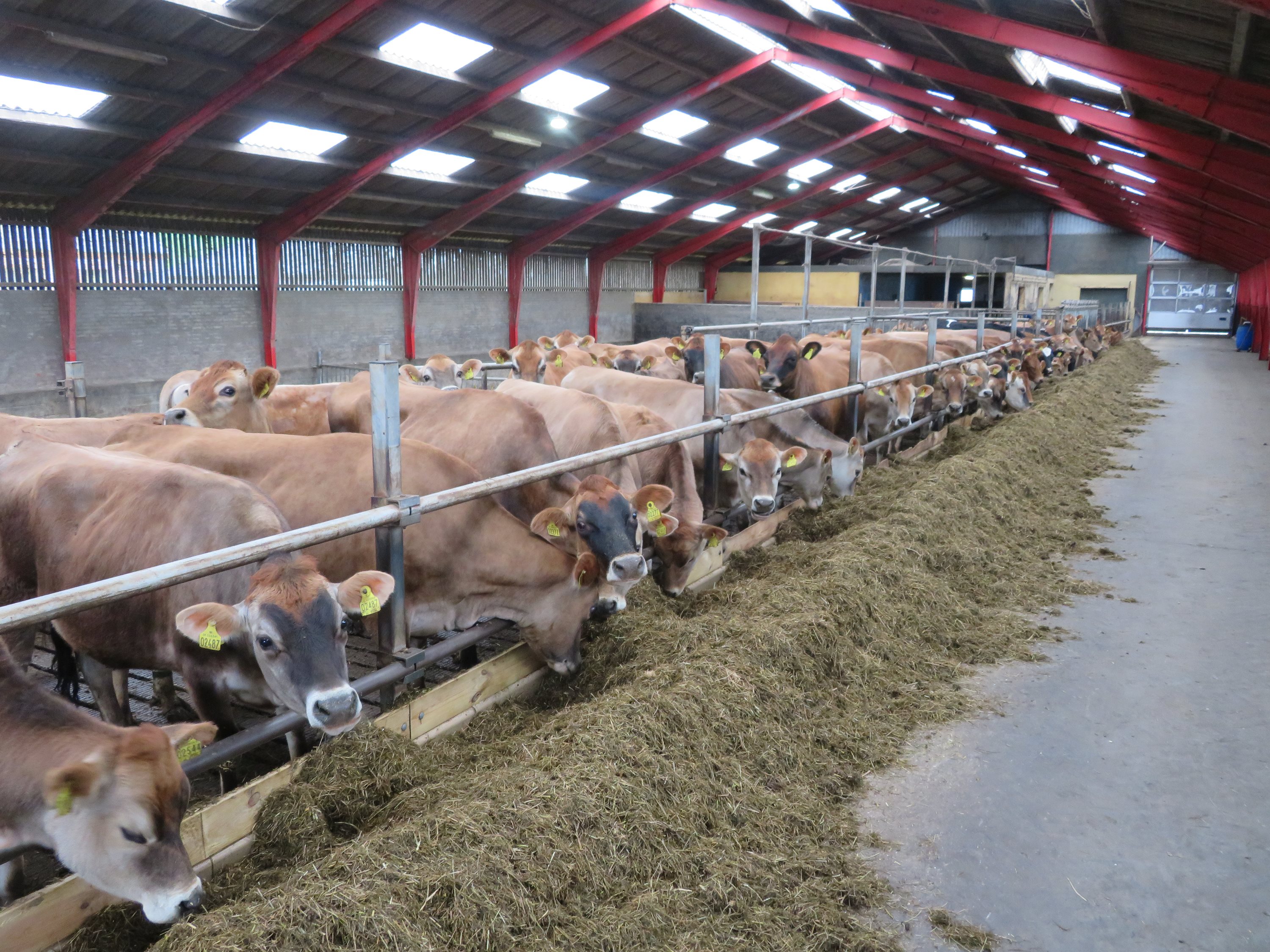 Miniaturebillede 2: . Billede af Århusvej 70, Søften, 8382 Hinnerup