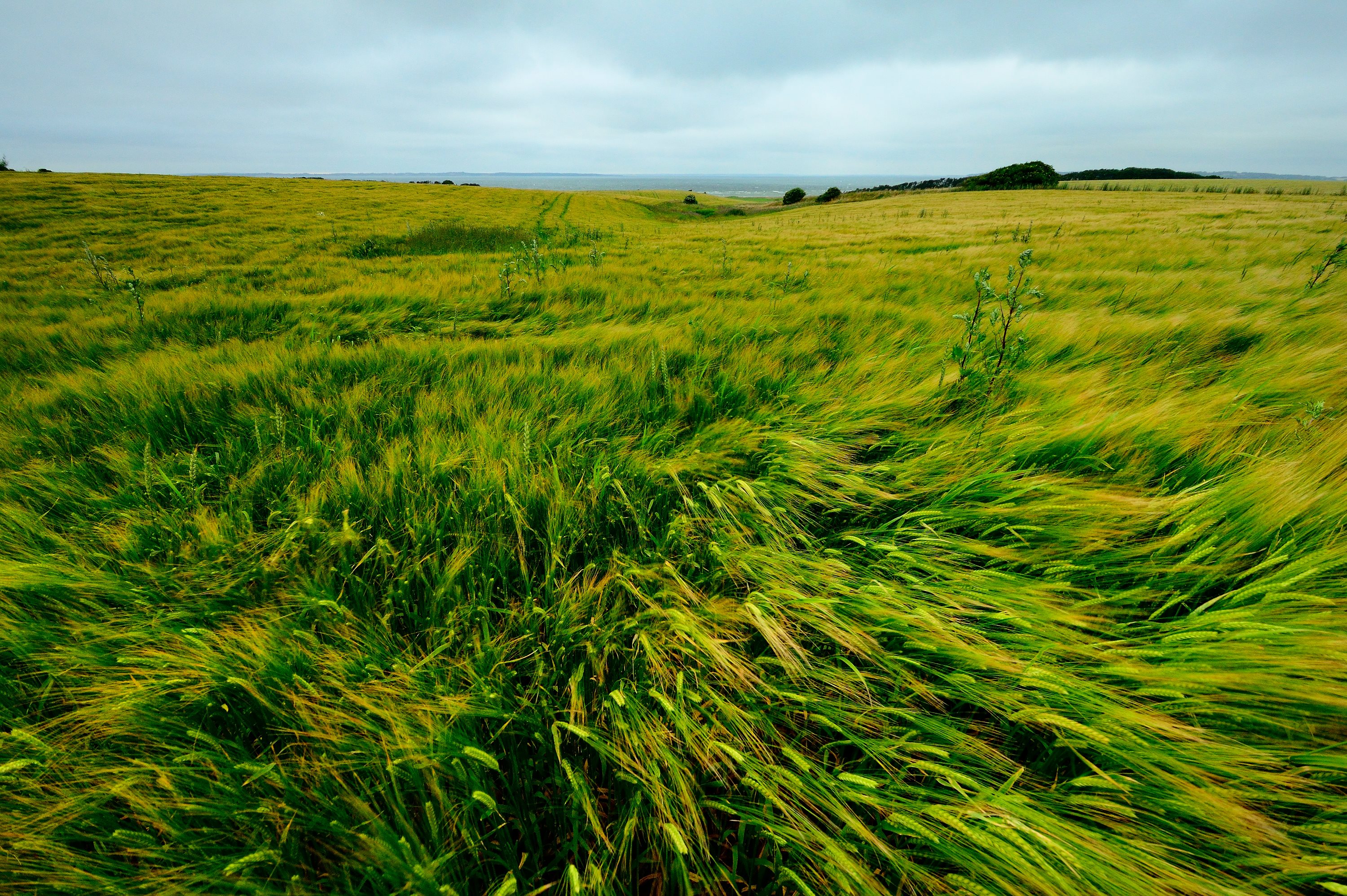 Fremhævet andet billede i fuldskærmstilstand. Billede af Geddalvej 54, Geddal, 7830 Vinderup