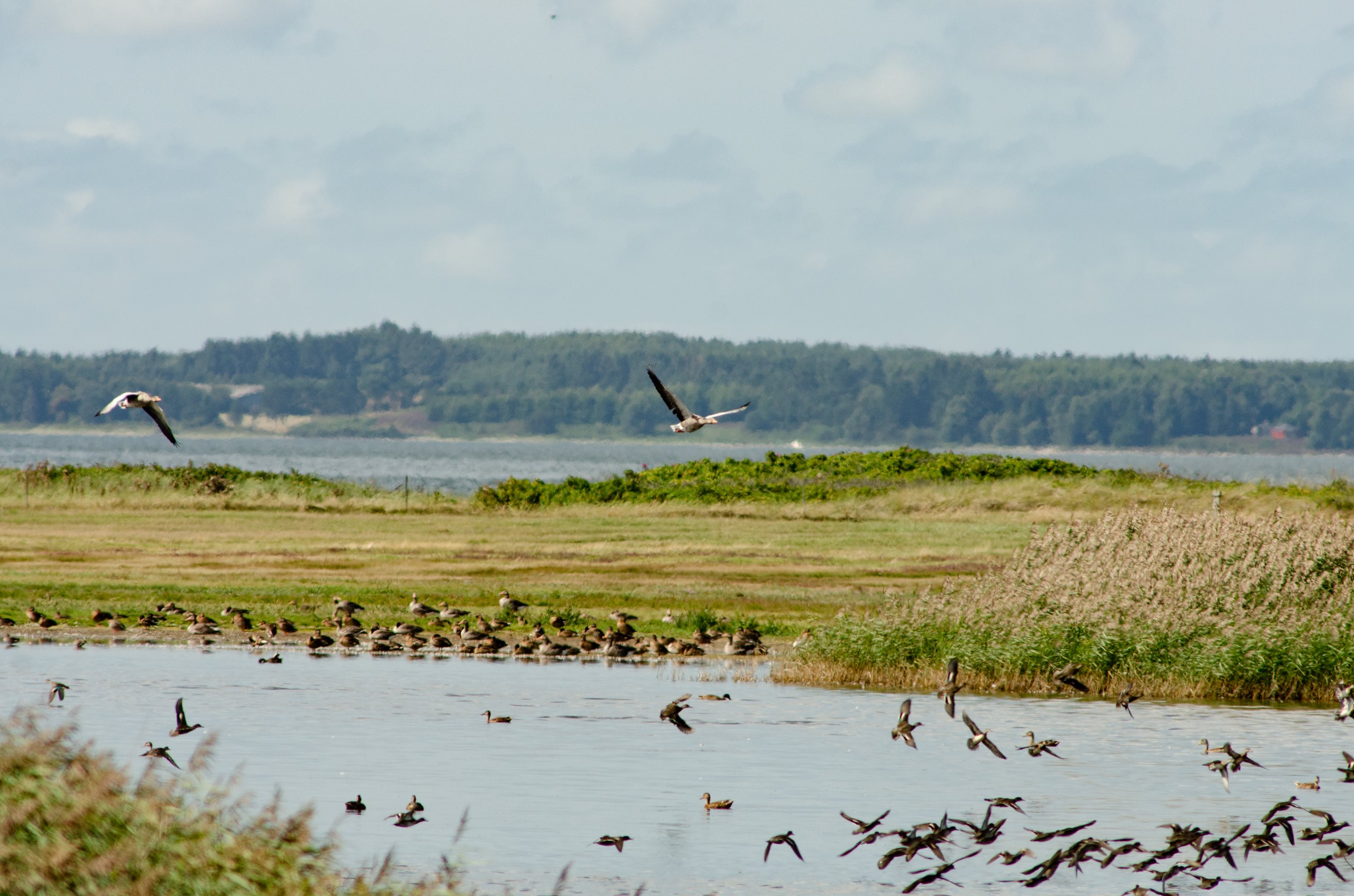 Miniaturebillede 1: andet. Billede af Geddalvej 54, Geddal, 7830 Vinderup
