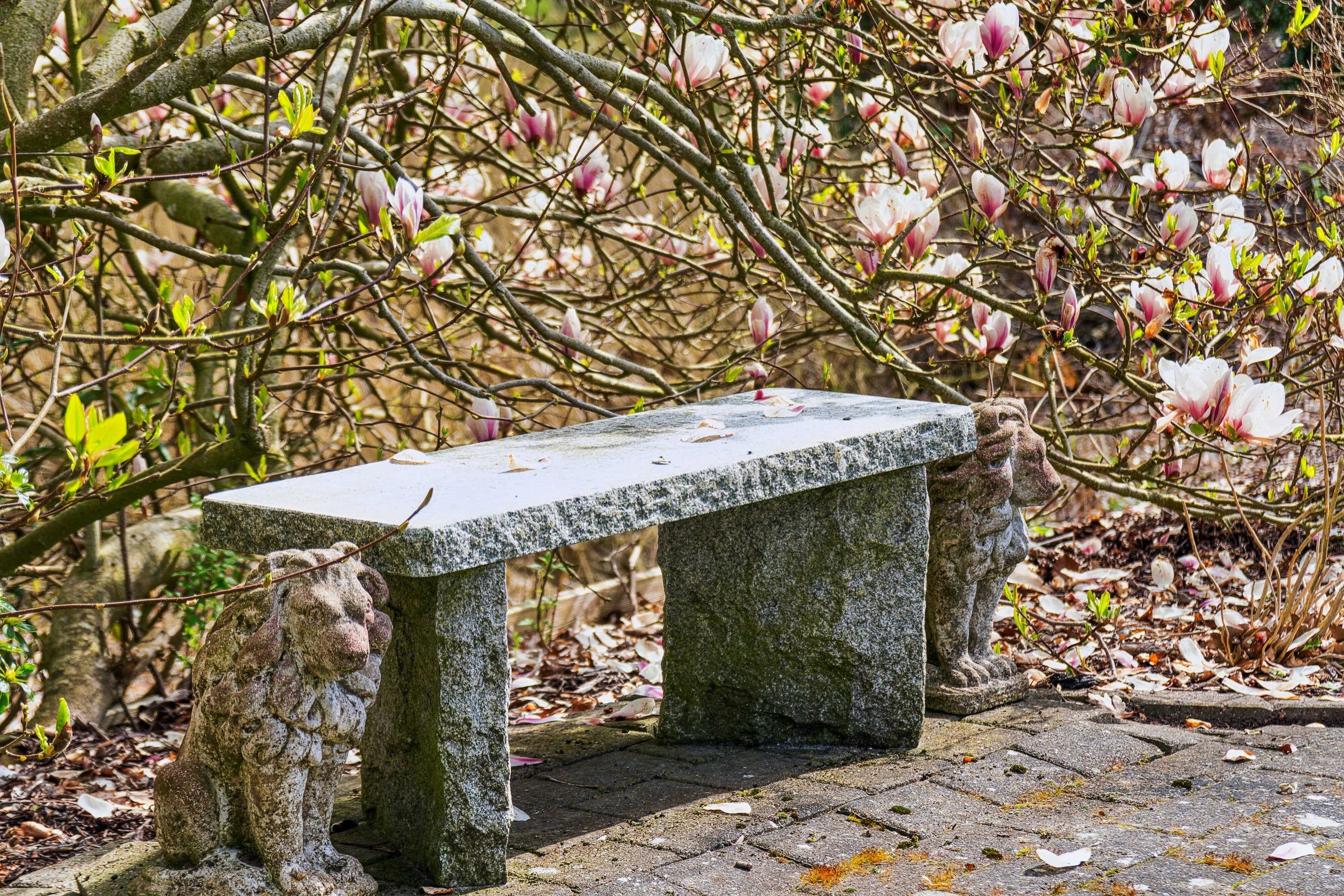 Fremhævet  billede i fuldskærmstilstand. Billede af Højslev Møllevej 101, 9600 Aars