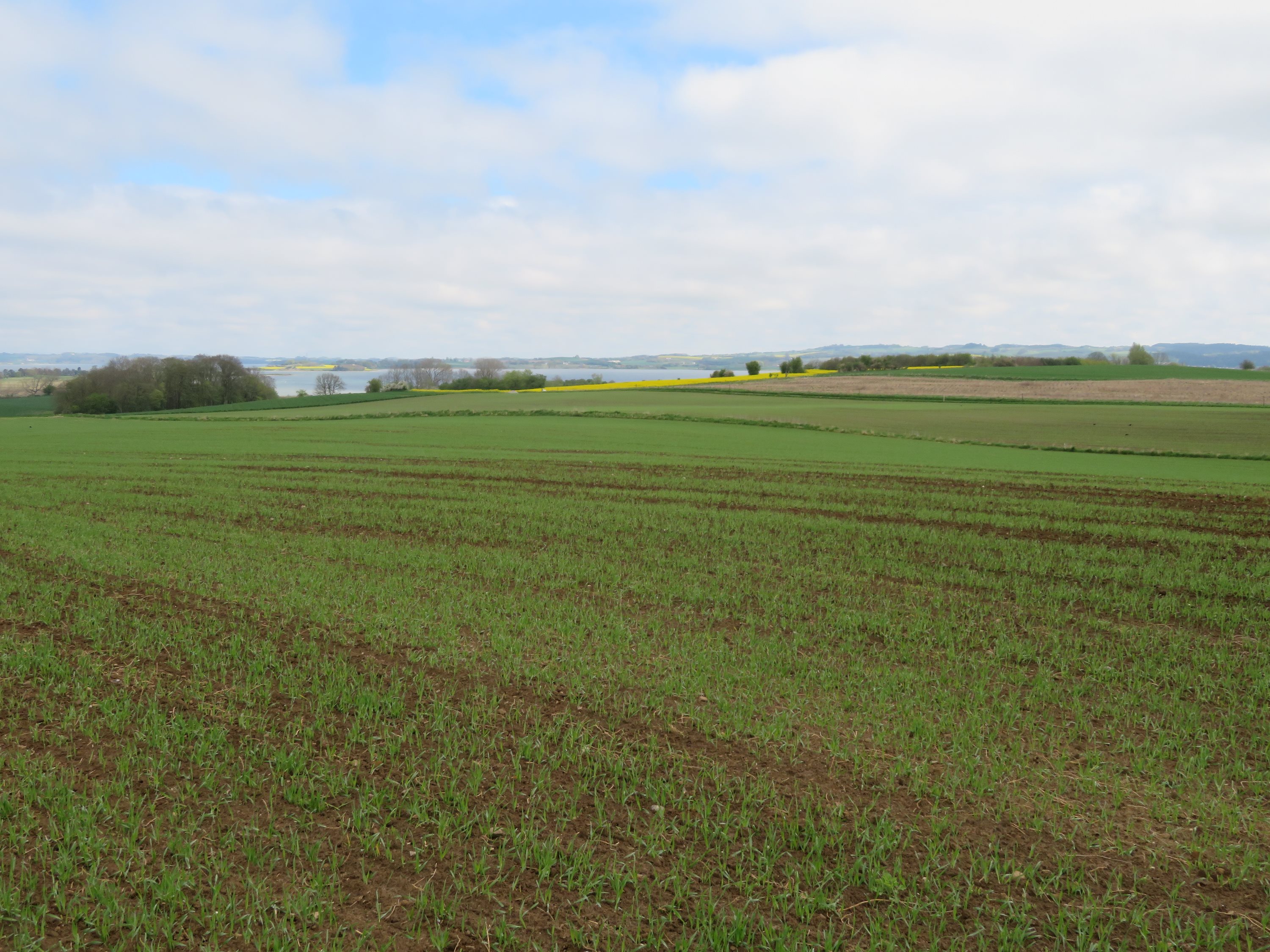 Fremhævet  billede i fuldskærmstilstand. Billede af Kirkebjergvej 8, Dejret, 8420 Knebel