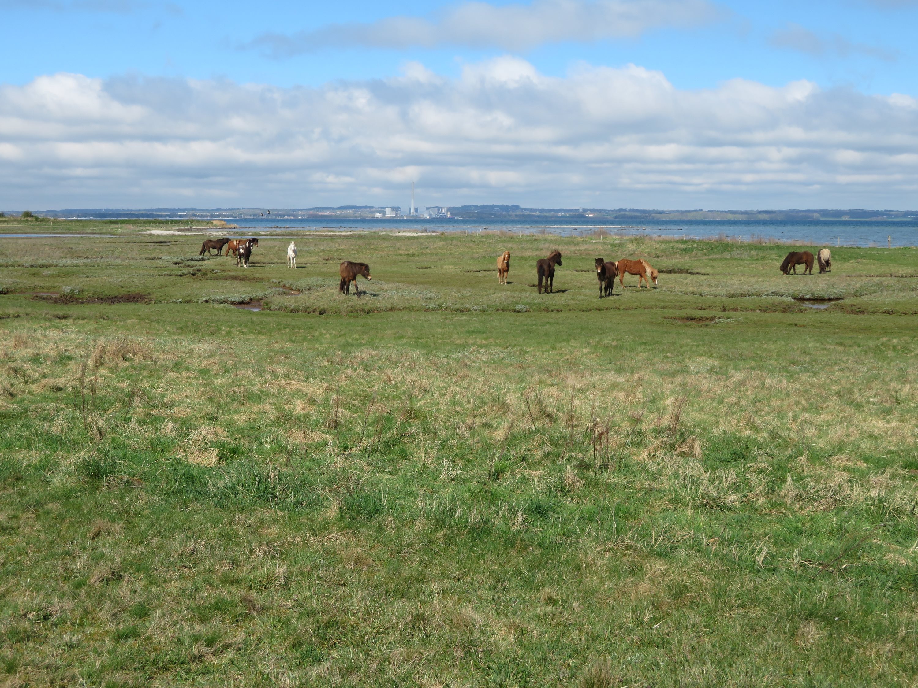 Miniaturebillede 1: . Billede af Kirkebjergvej 8, Dejret, 8420 Knebel