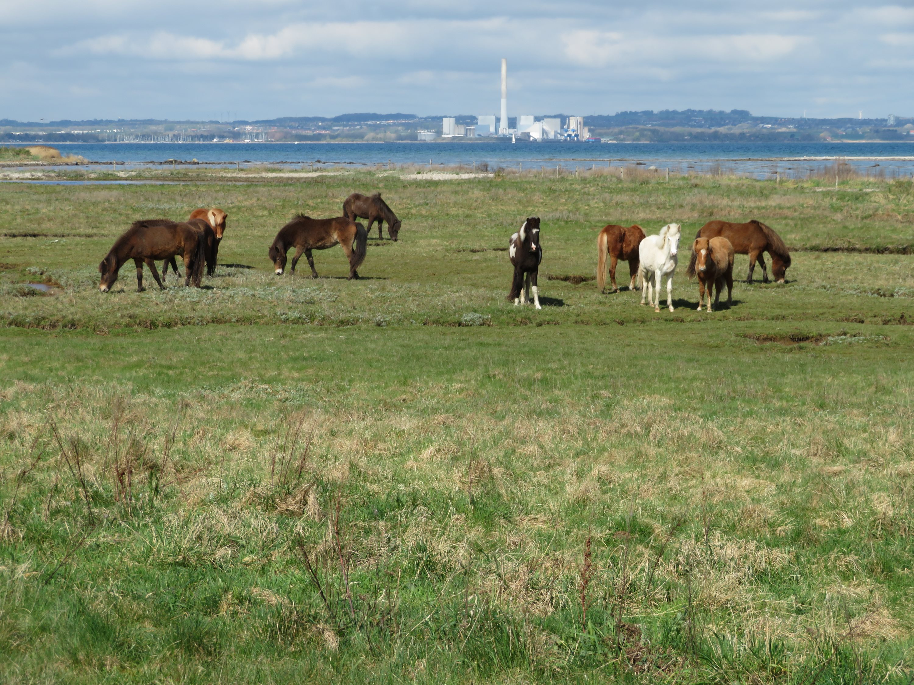 Fremhævet  billede i fuldskærmstilstand. Billede af Kirkebjergvej 8, Dejret, 8420 Knebel