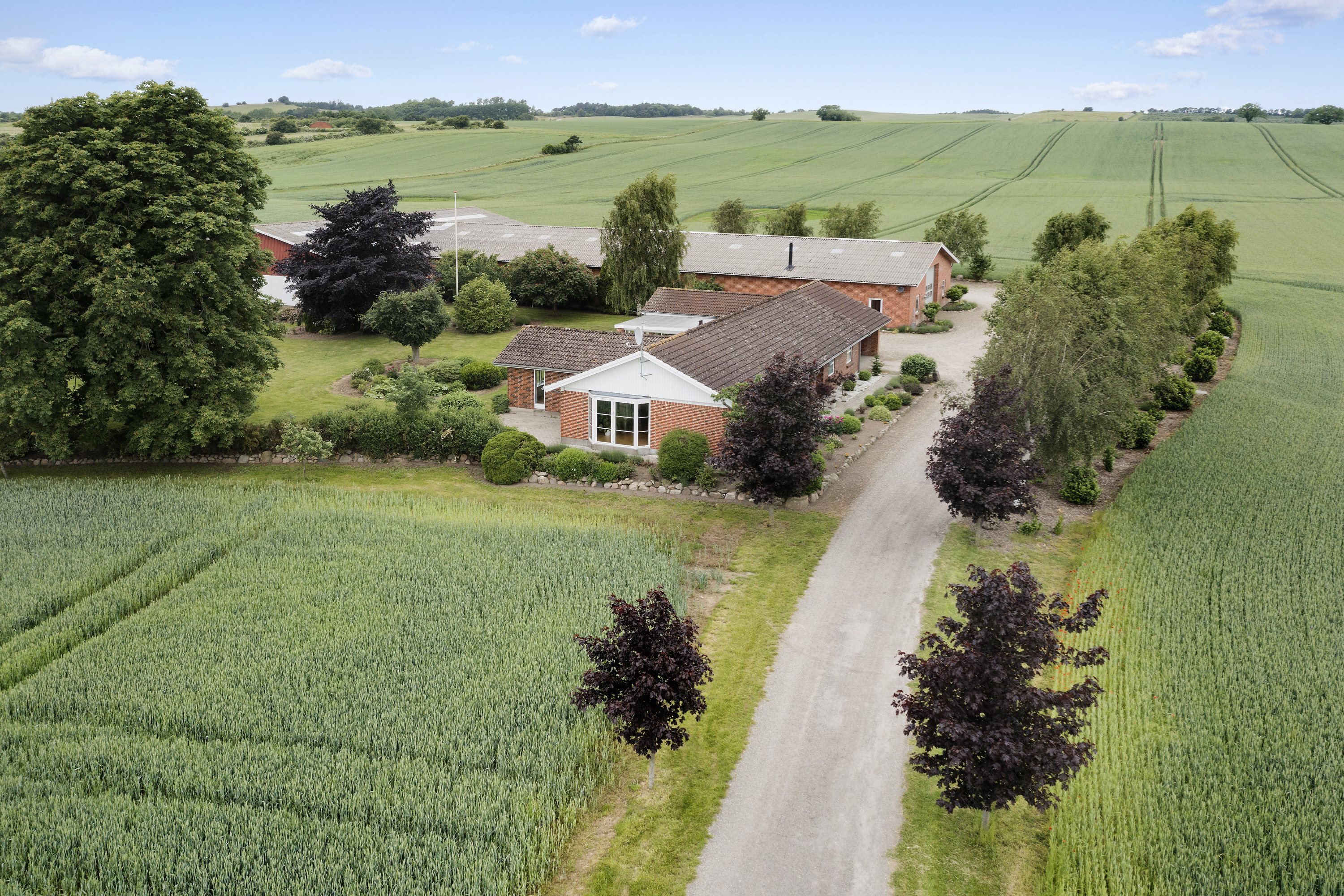 Fremhævet  billede i fuldskærmstilstand. Billede af Høvevej 49, 4540 Fårevejle