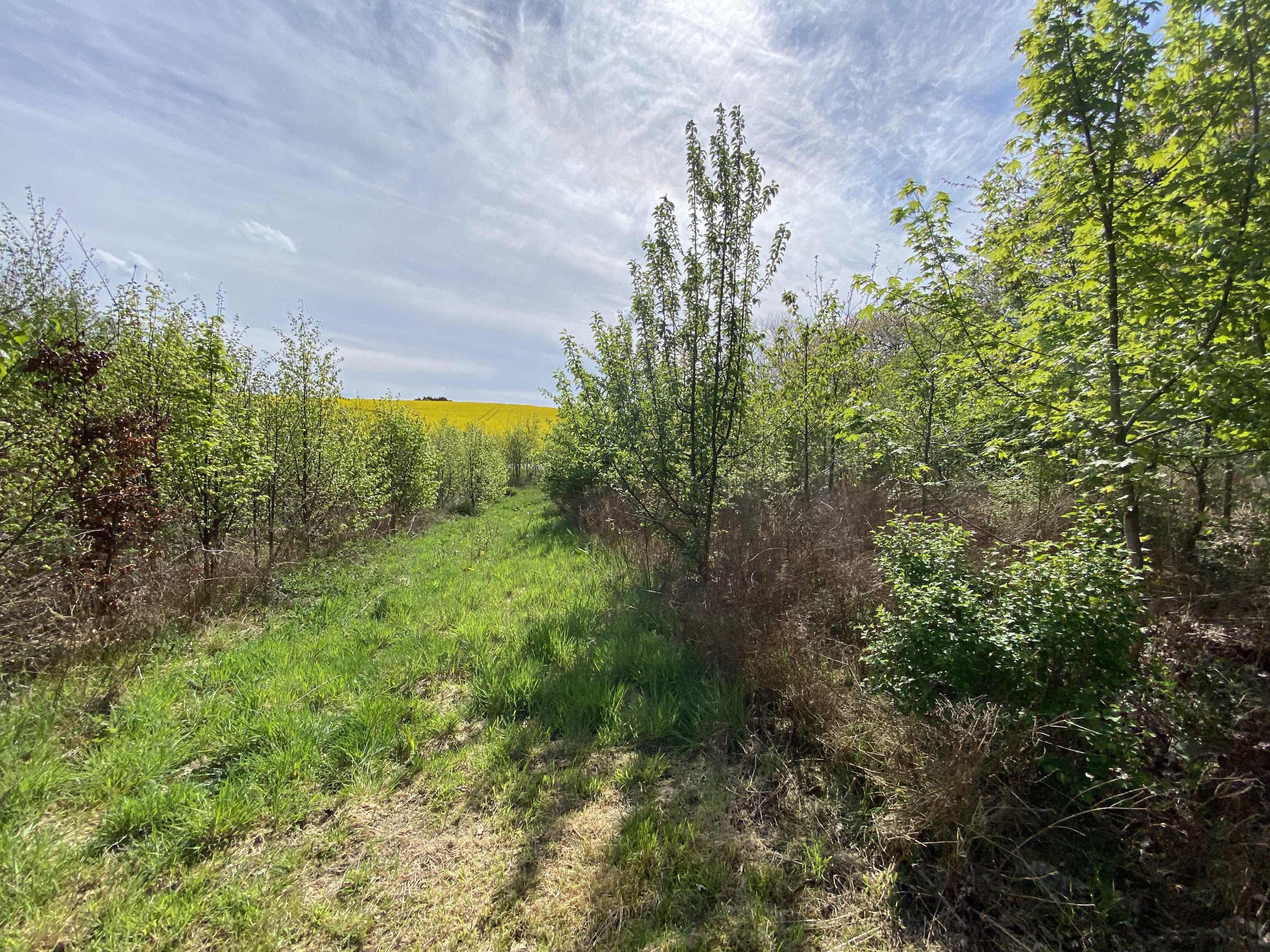 Fremhævet  billede i fuldskærmstilstand. Billede af Svanningehuse 30, Diernæs, 5600 Faaborg