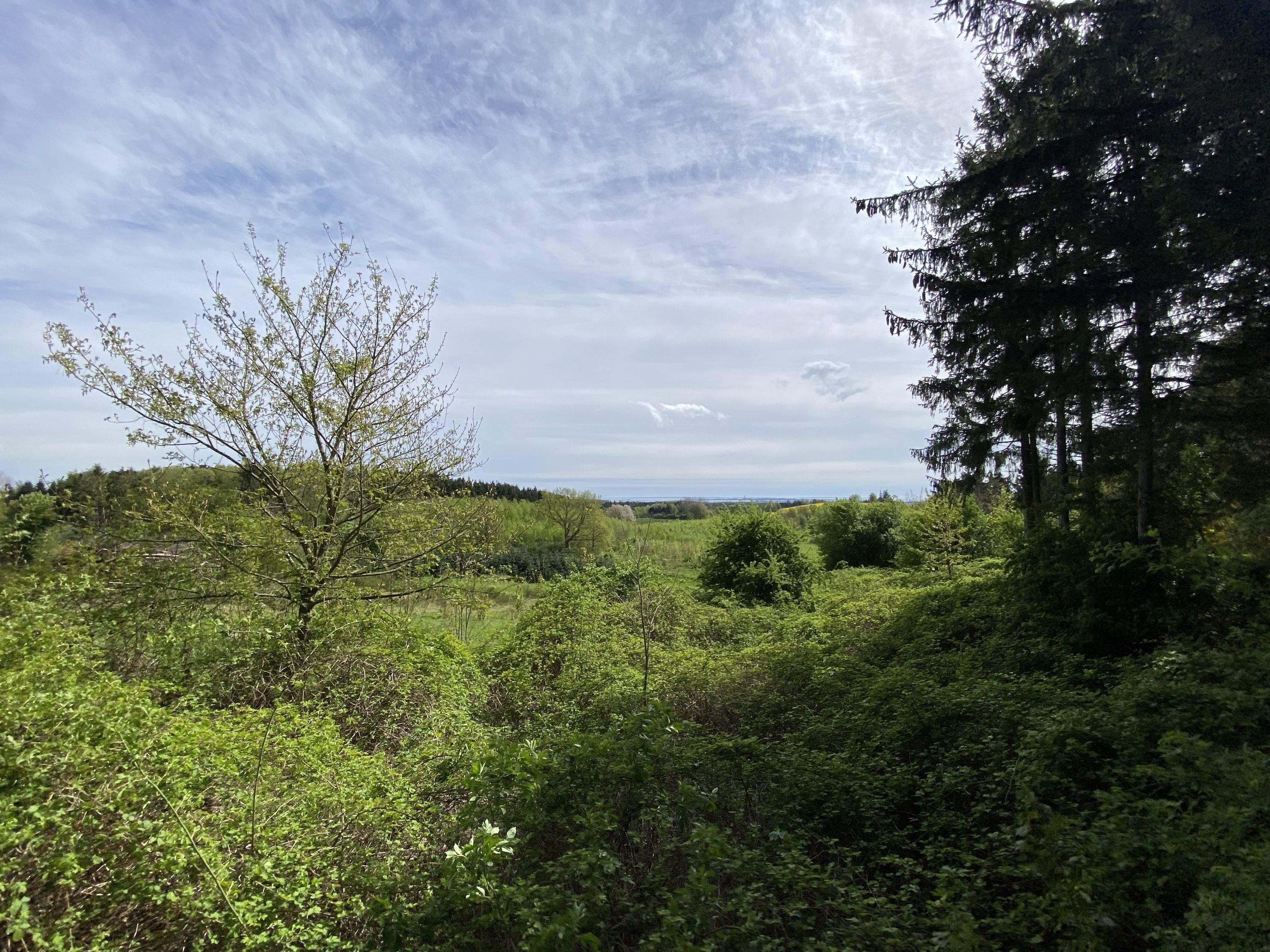 Fremhævet  billede i fuldskærmstilstand. Billede af Svanningehuse 30, Diernæs, 5600 Faaborg