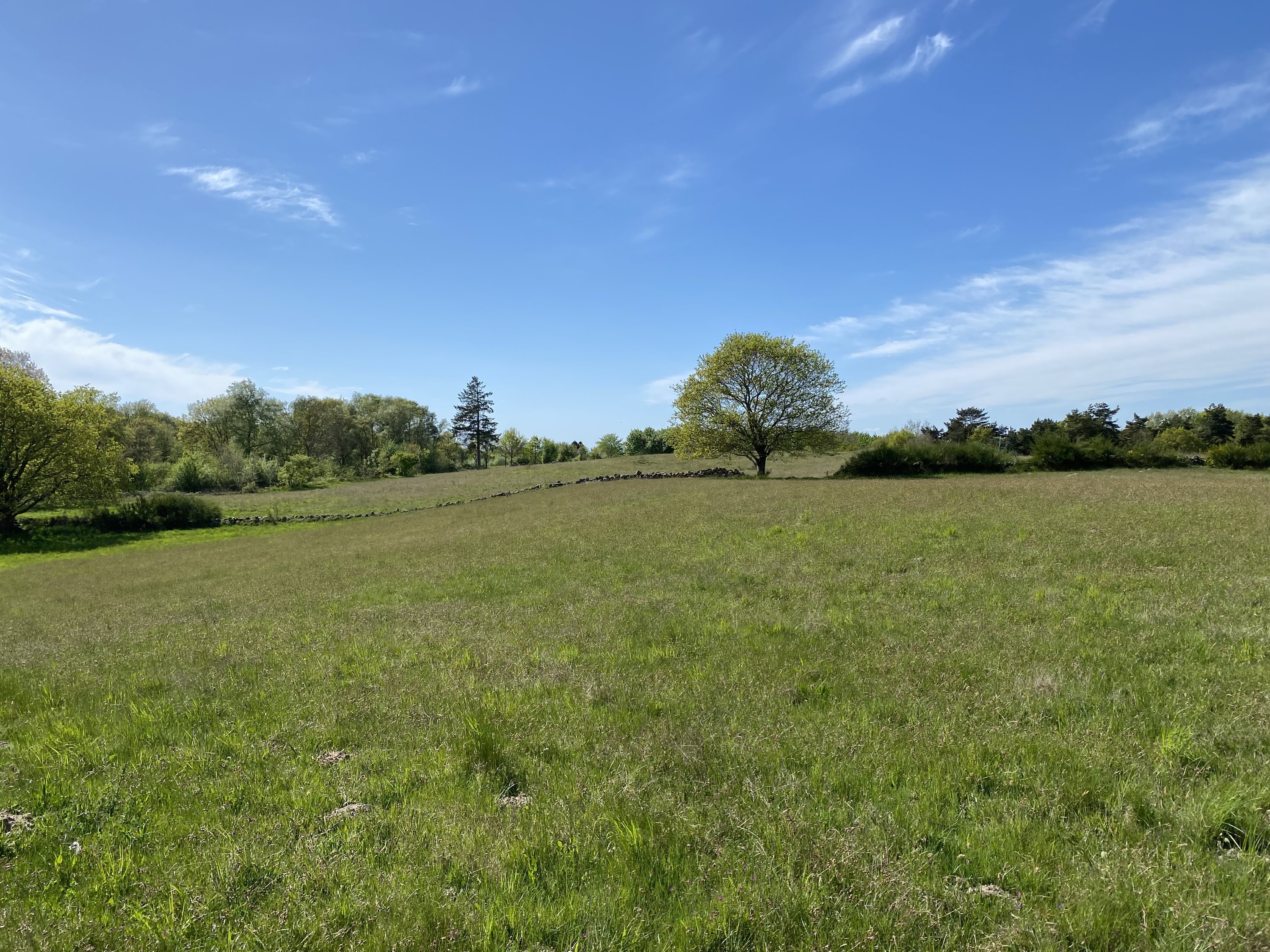 Fremhævet  billede i fuldskærmstilstand. Billede af Svanningehuse 30, Diernæs, 5600 Faaborg