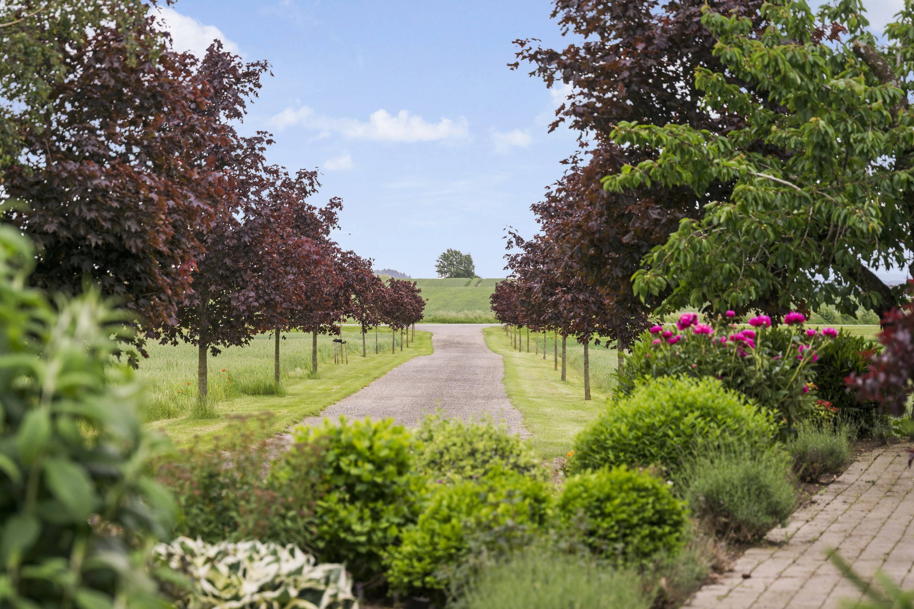 Miniaturebillede 2: . Billede af Høvevej 49, 4540 Fårevejle