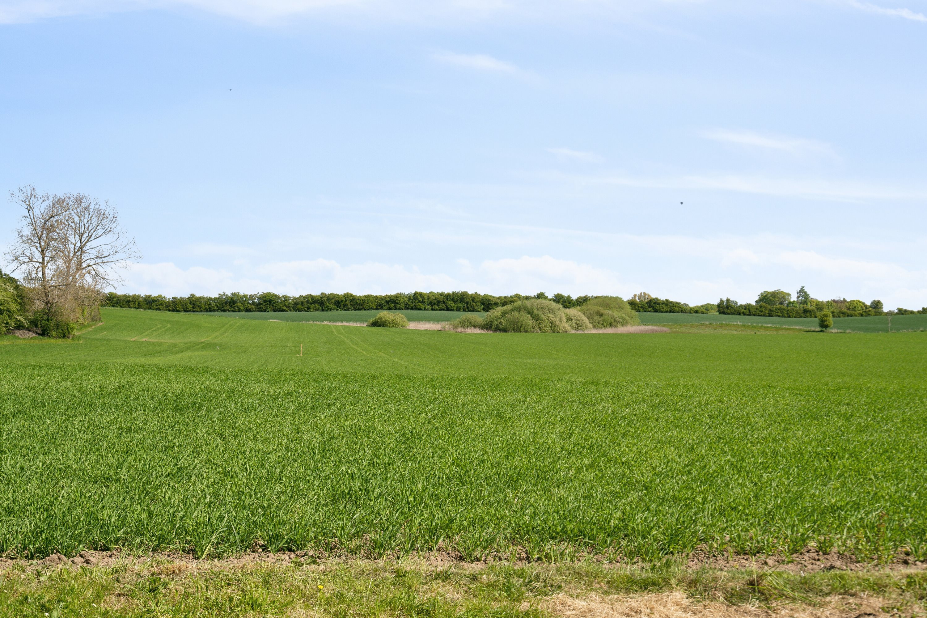 Miniaturebillede 2: kig over jorden fra bygningerne. Billede af Fjellerupvej 23, Fjellerup, 5463 Harndrup