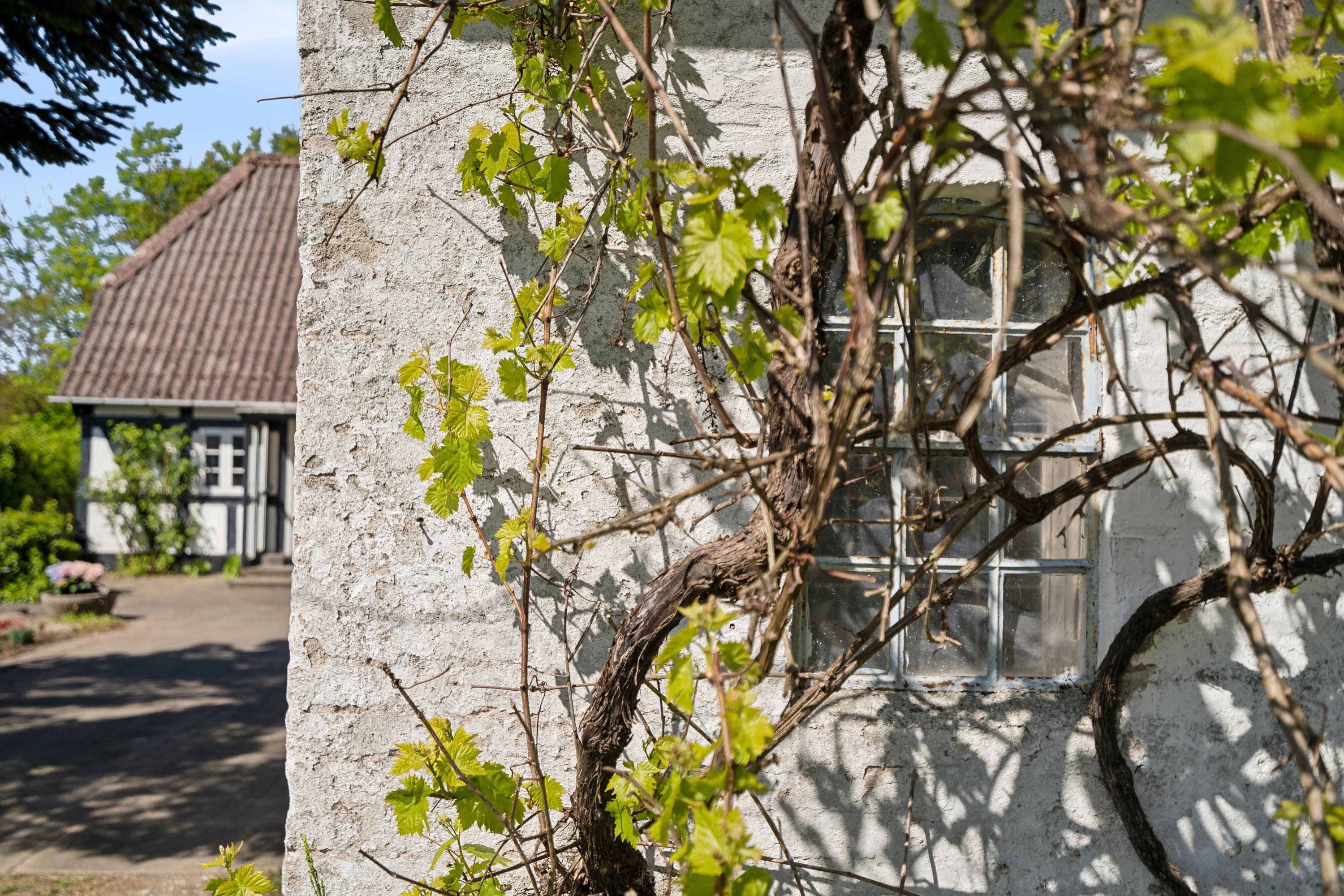 Fremhævet udendørs billede i fuldskærmstilstand. Billede af Fjellerupvej 23, Fjellerup, 5463 Harndrup