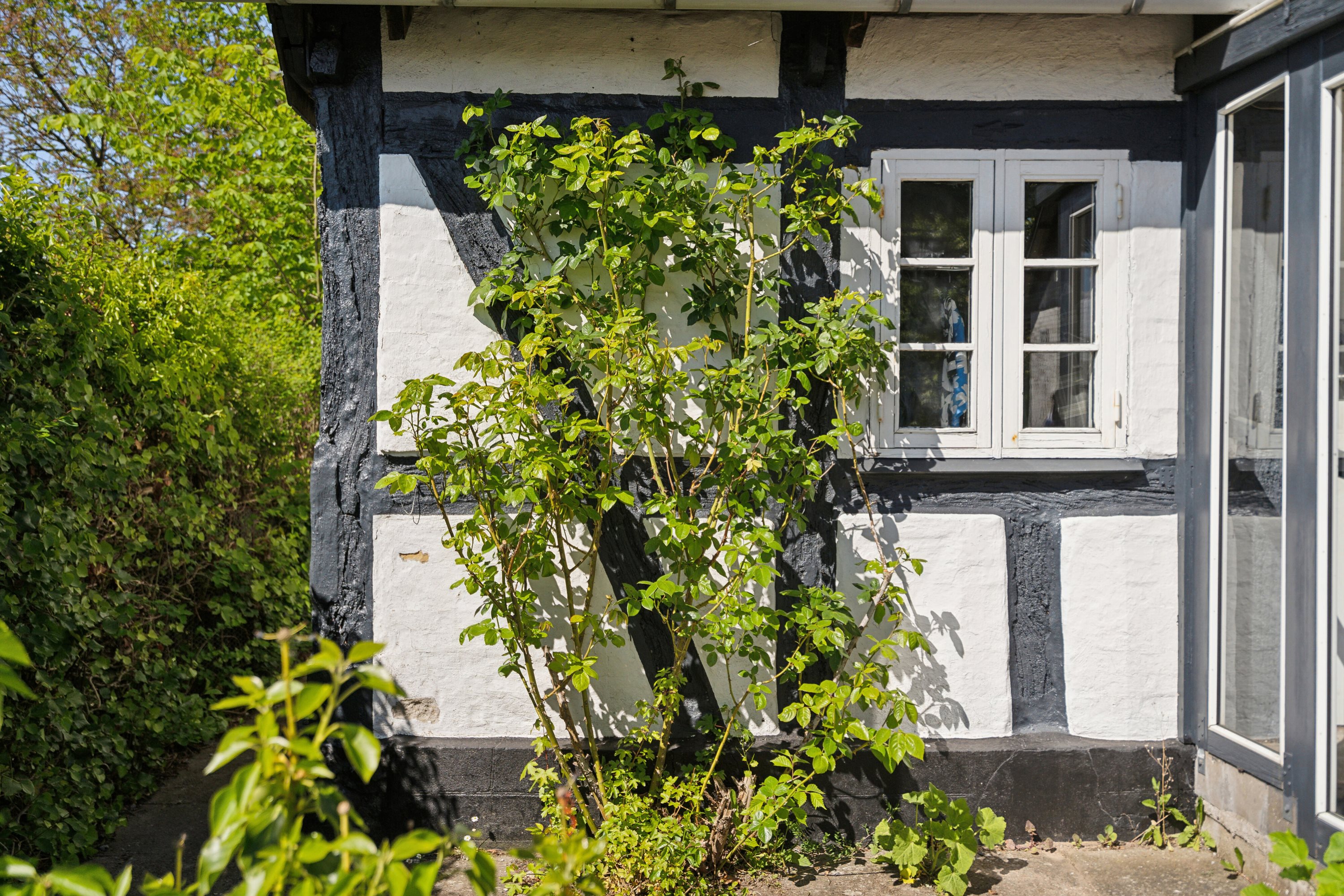 Fremhævet udendørs billede i fuldskærmstilstand. Billede af Fjellerupvej 23, Fjellerup, 5463 Harndrup