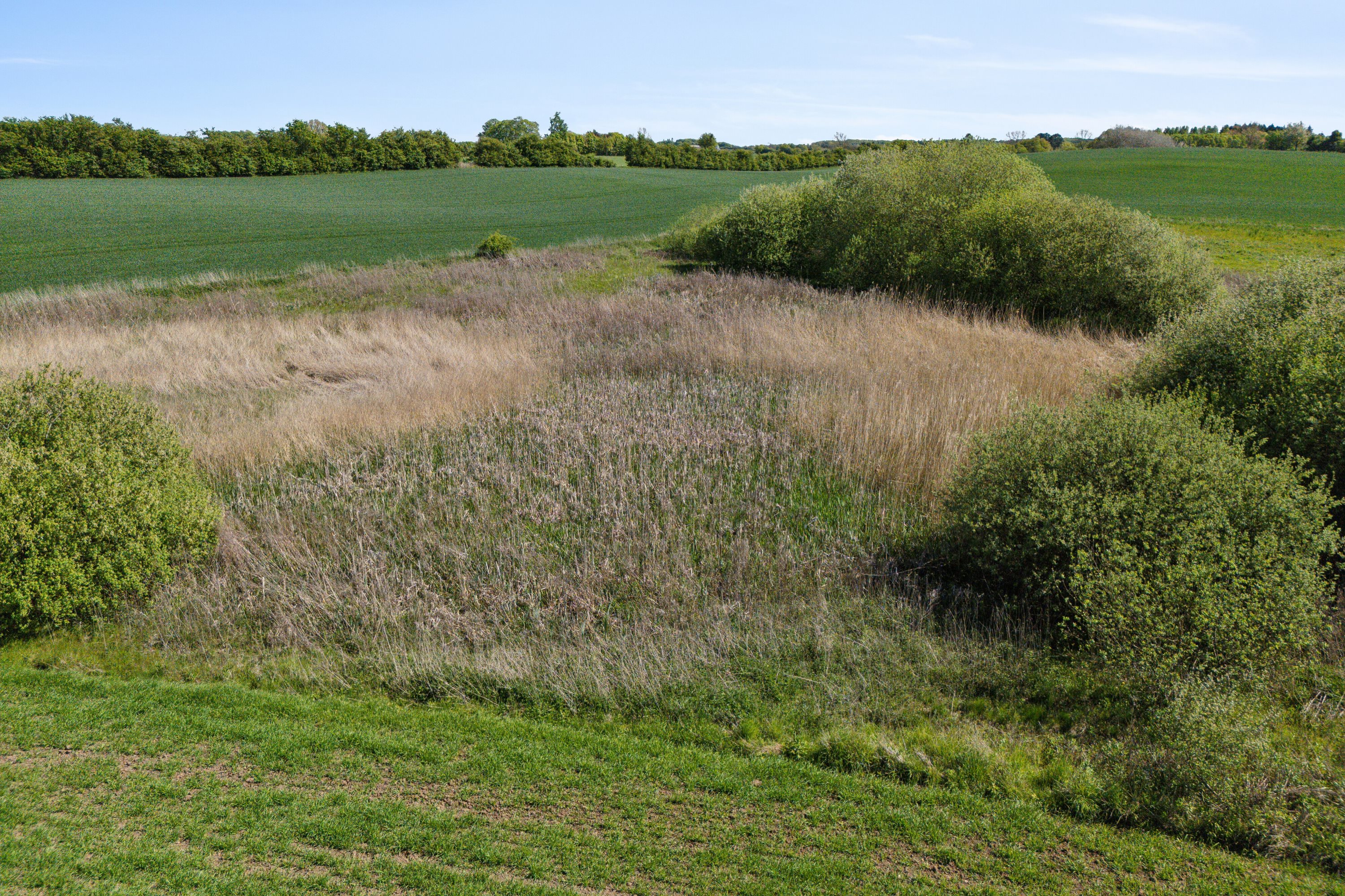 Fremhævet søen i marken billede i fuldskærmstilstand. Billede af Fjellerupvej 23, Fjellerup, 5463 Harndrup