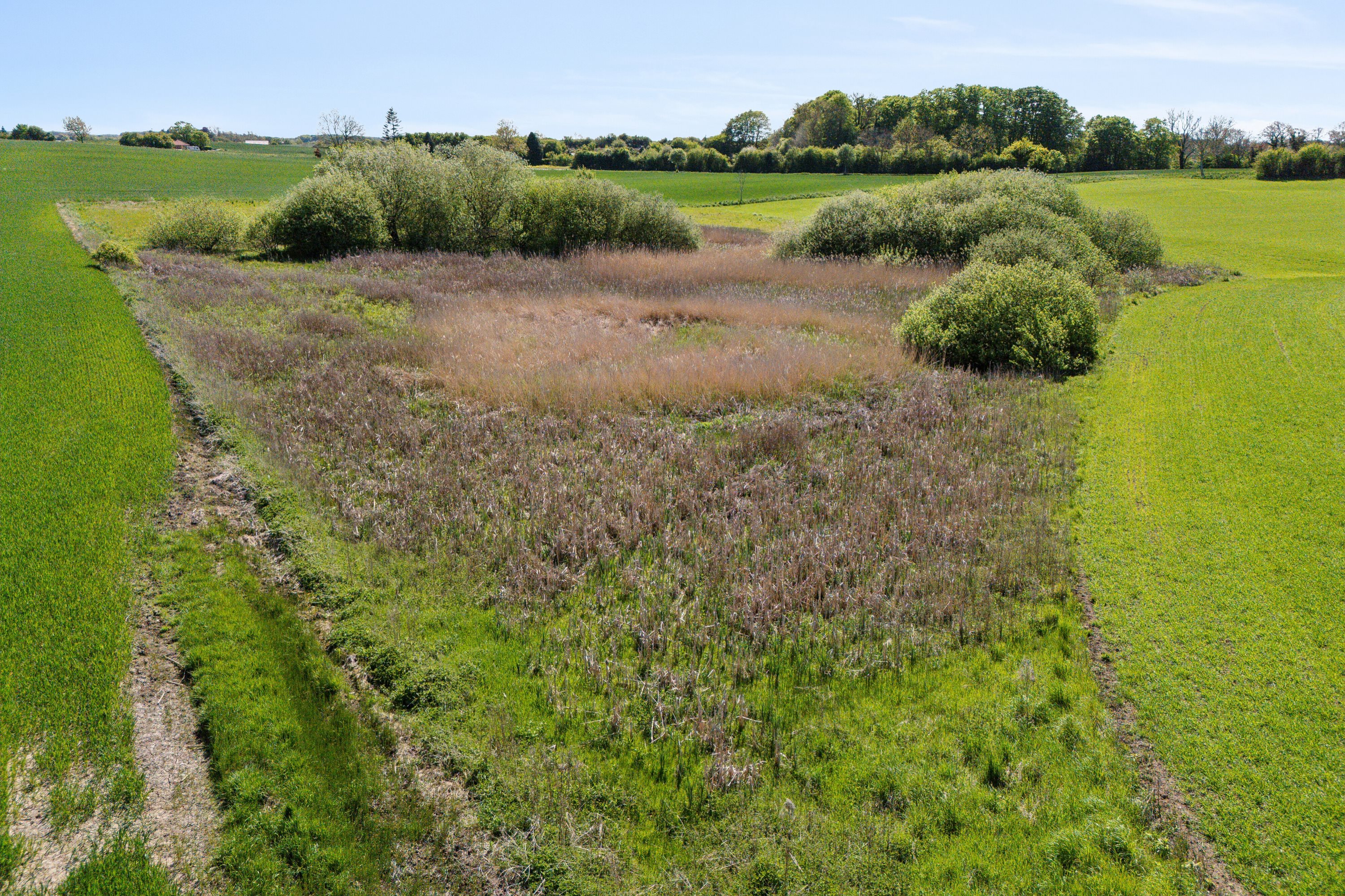 Fremhævet søen i marken  billede i fuldskærmstilstand. Billede af Fjellerupvej 23, Fjellerup, 5463 Harndrup