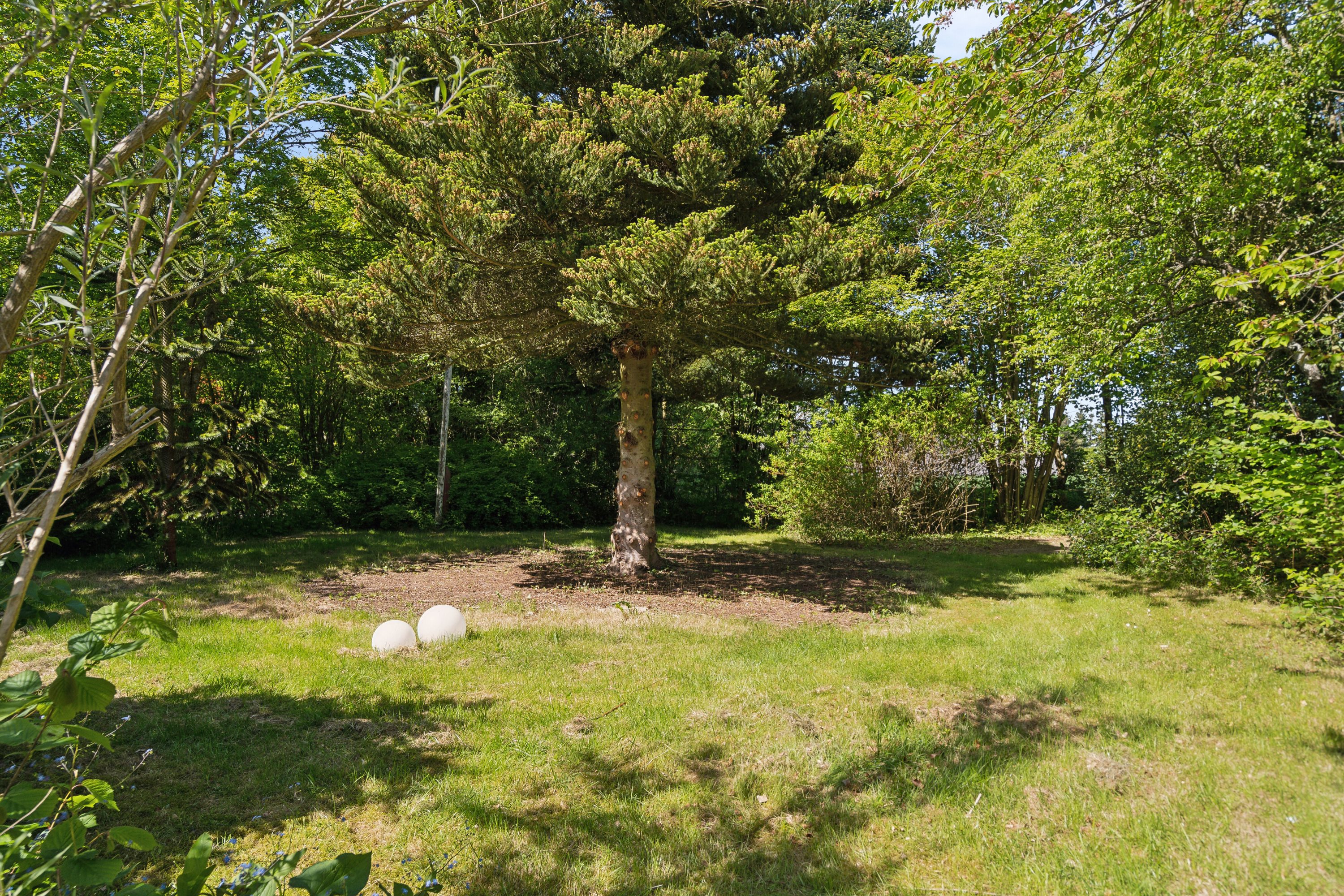 Fremhævet set fra haven billede i fuldskærmstilstand. Billede af Fjellerupvej 23, Fjellerup, 5463 Harndrup