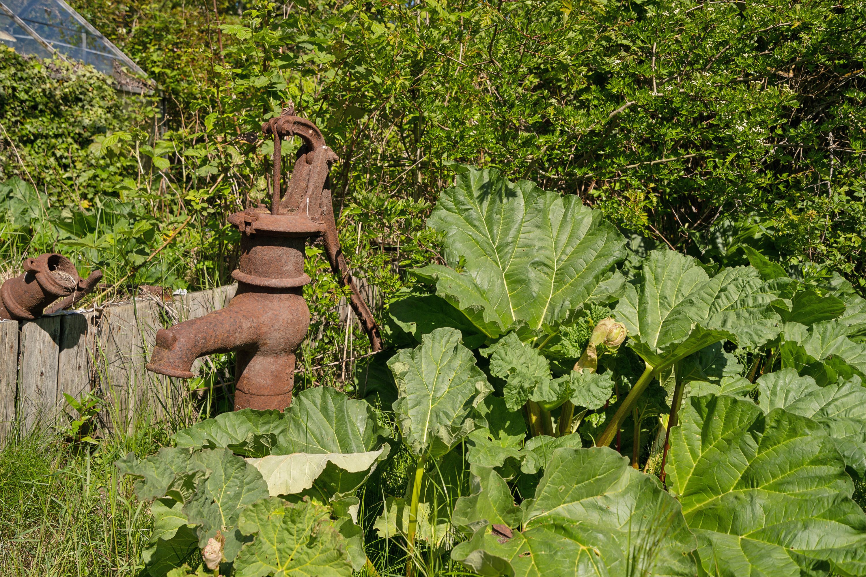 Fremhævet udendørs billede i fuldskærmstilstand. Billede af Fjellerupvej 23, Fjellerup, 5463 Harndrup