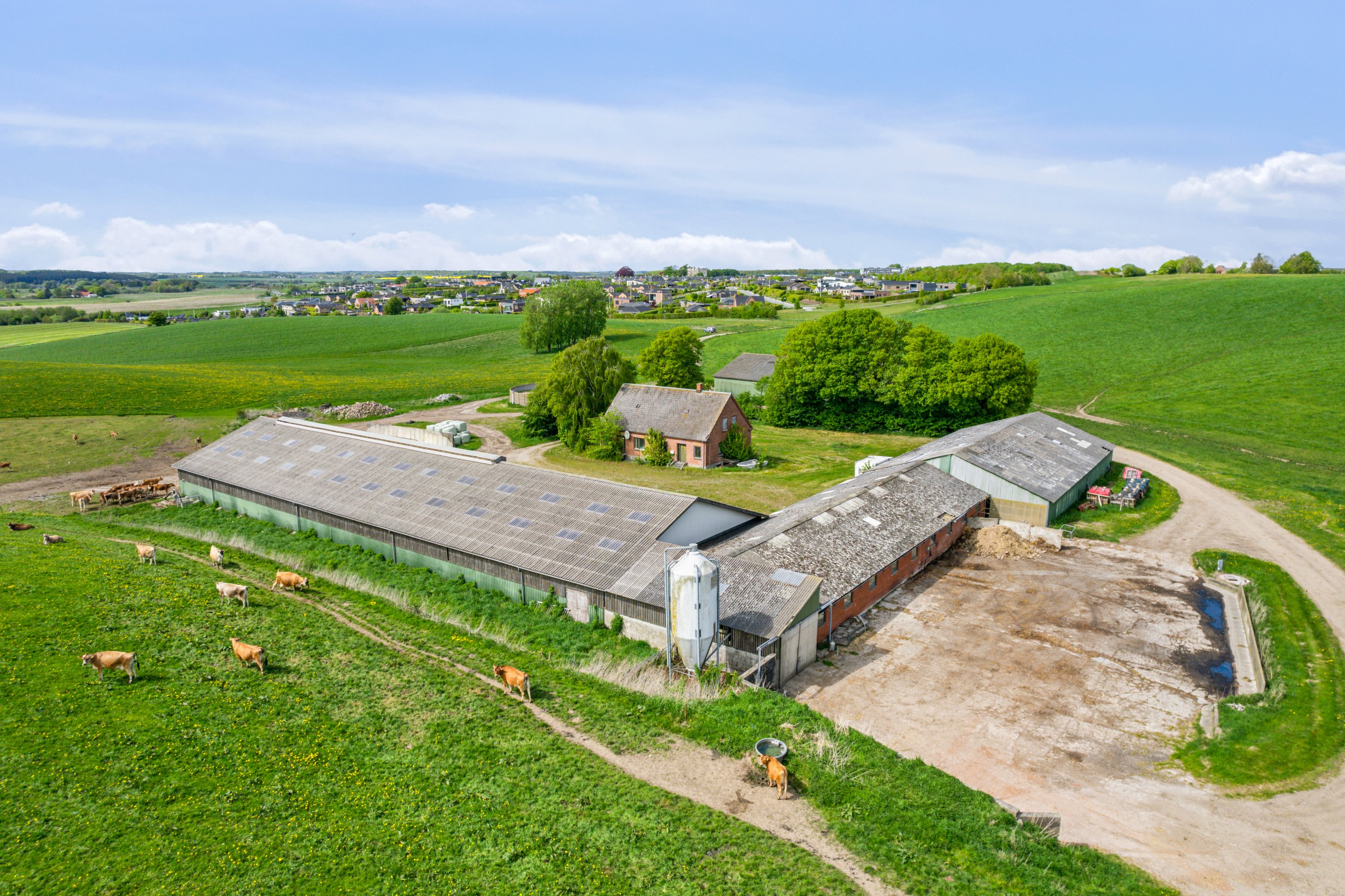 Fremhævet  billede i fuldskærmstilstand. Billede af Århusvej 70, Søften, 8382 Hinnerup