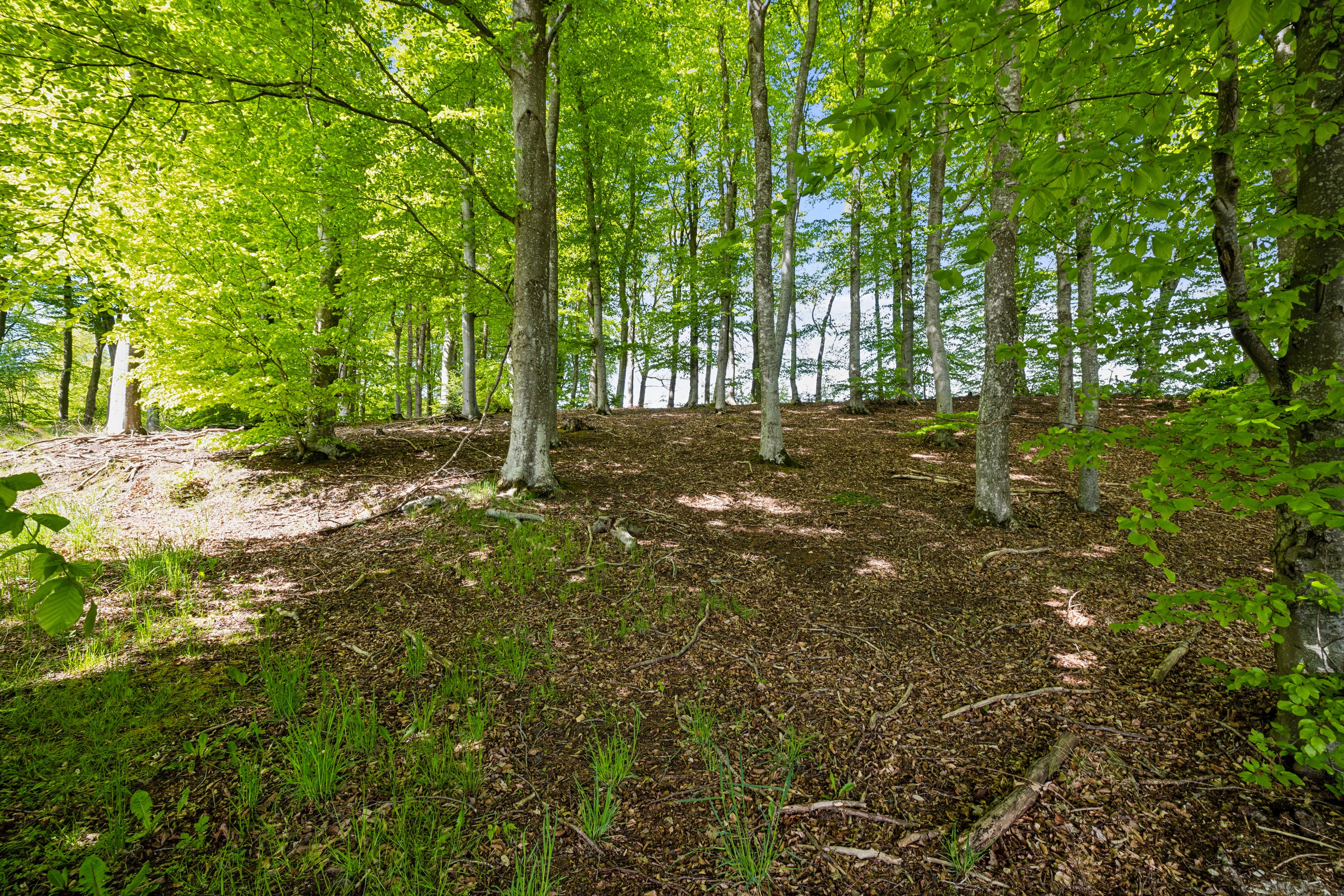 Fremhævet  billede i fuldskærmstilstand. Billede af Gunnerupmosevej 22, Assentoft, 8960 Randers SØ