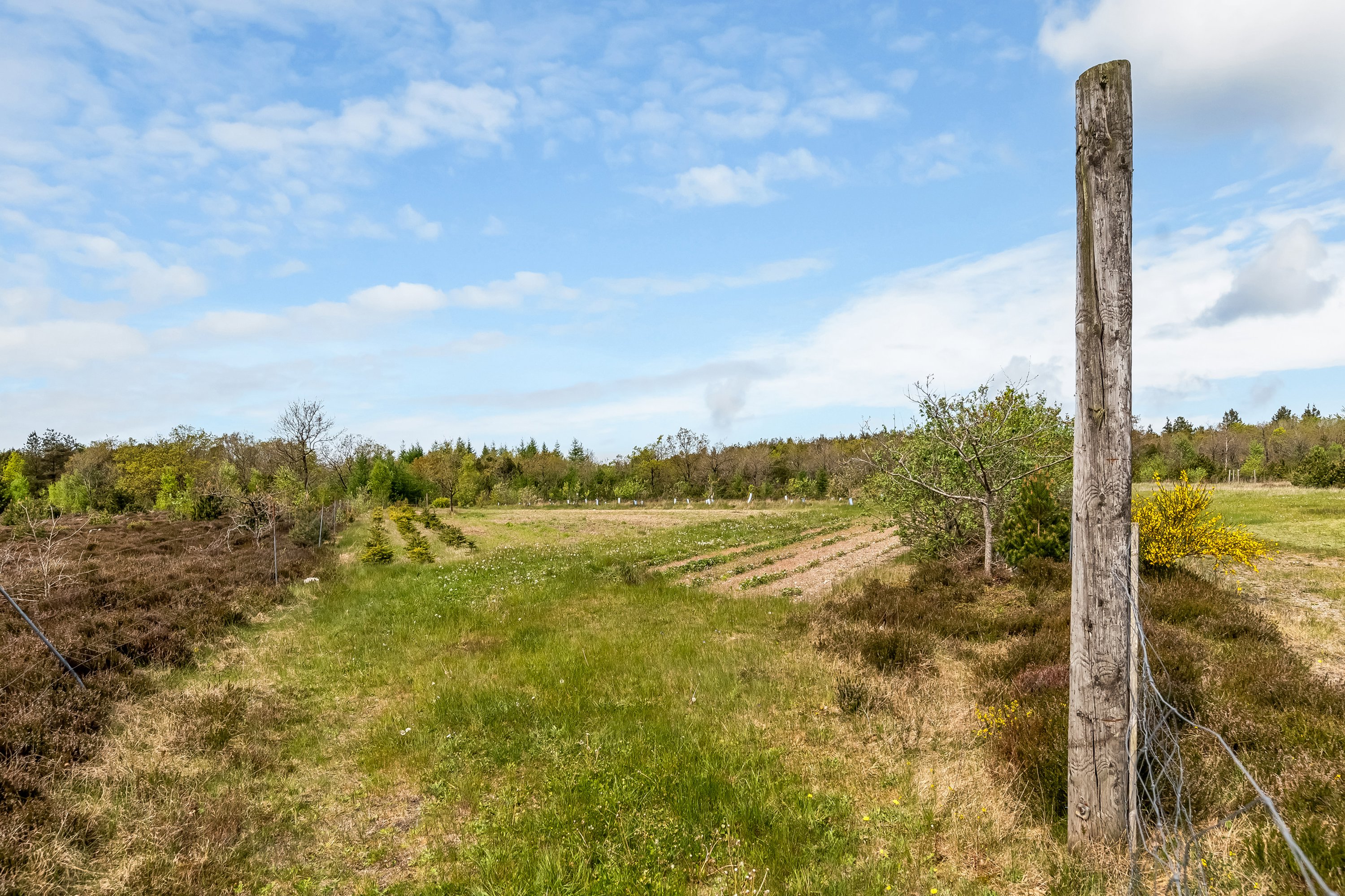 Fremhævet jordtilliggende billede i fuldskærmstilstand. Billede af Sognstrupvej 21, Nr Felding, 7500 Holstebro