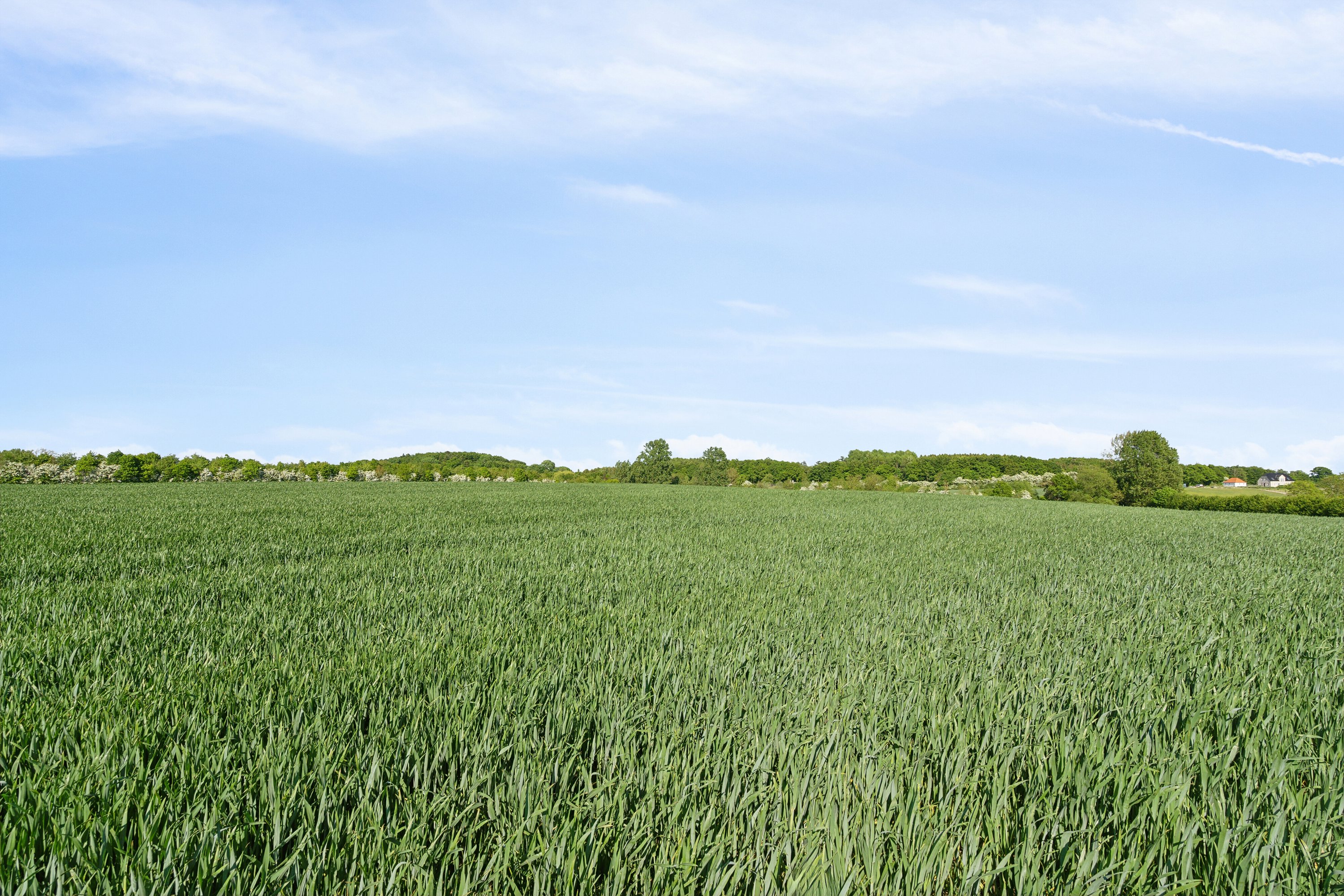 Fremhævet udendørs billede i fuldskærmstilstand. Billede af Sølvbjergvej 2, Pejrup, 5600 Faaborg