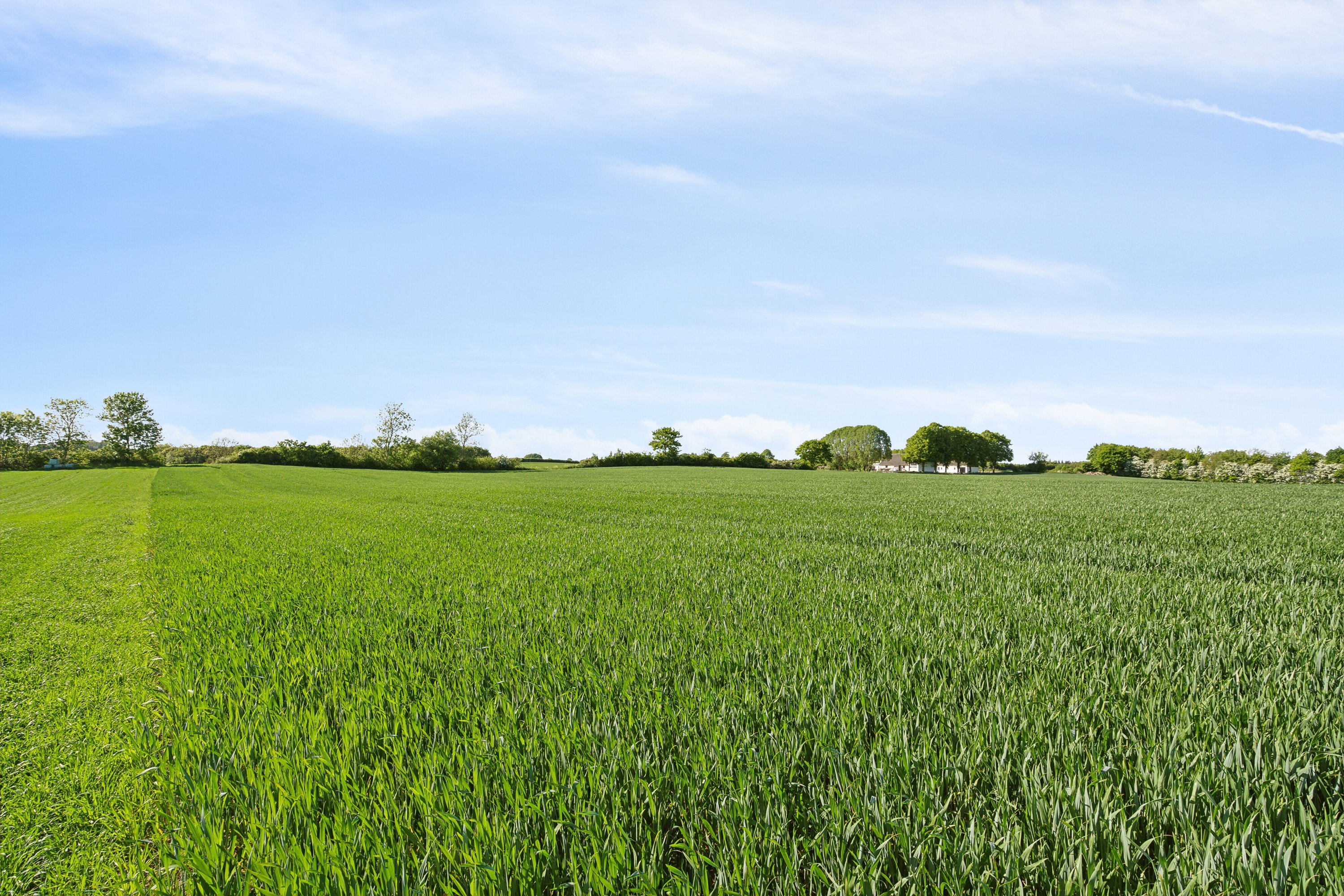 Fremhævet udendørs billede i fuldskærmstilstand. Billede af Sølvbjergvej 2, Pejrup, 5600 Faaborg