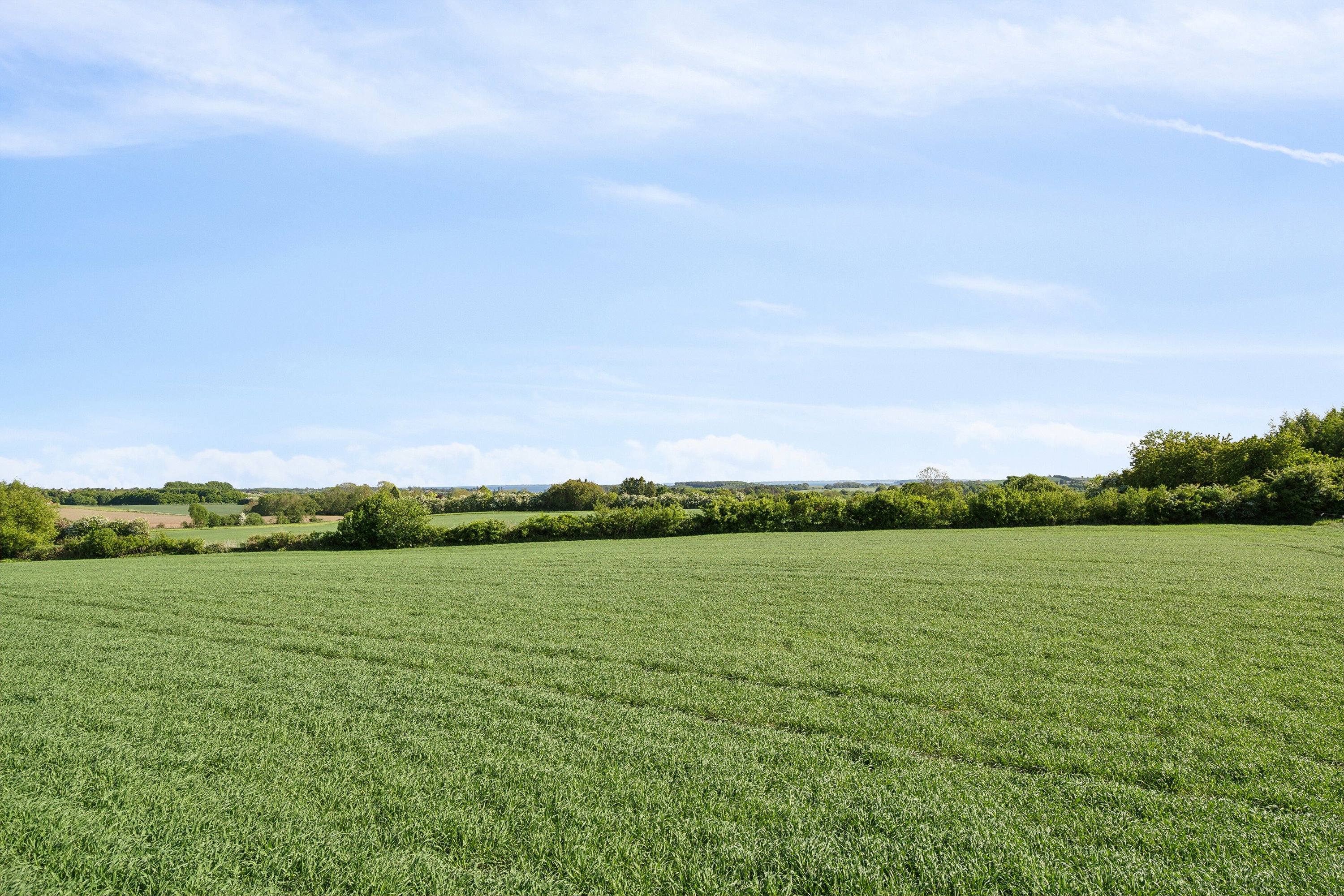 Fremhævet udendørs billede i fuldskærmstilstand. Billede af Sølvbjergvej 2, Pejrup, 5600 Faaborg