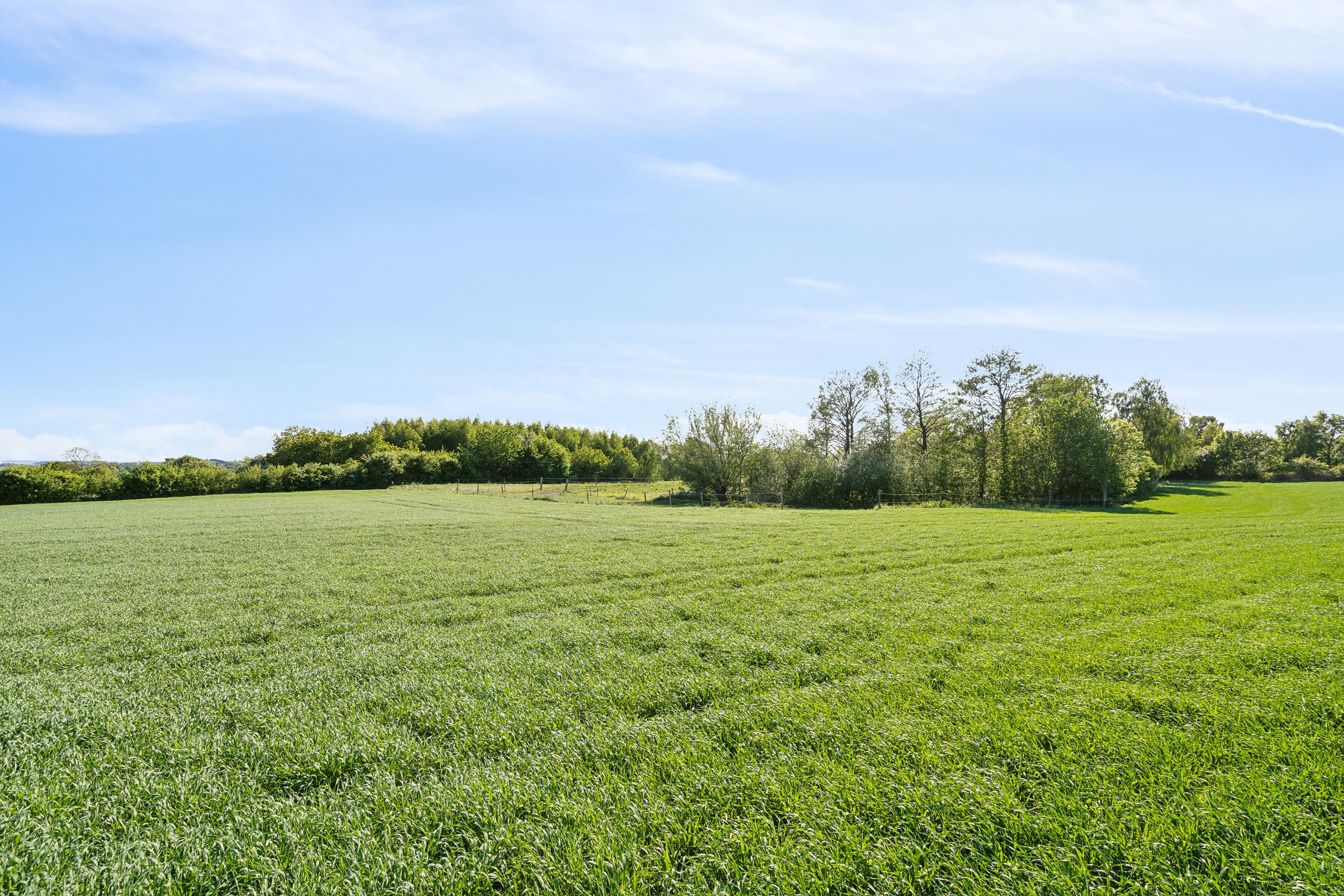 Fremhævet udendørs billede i fuldskærmstilstand. Billede af Sølvbjergvej 2, Pejrup, 5600 Faaborg
