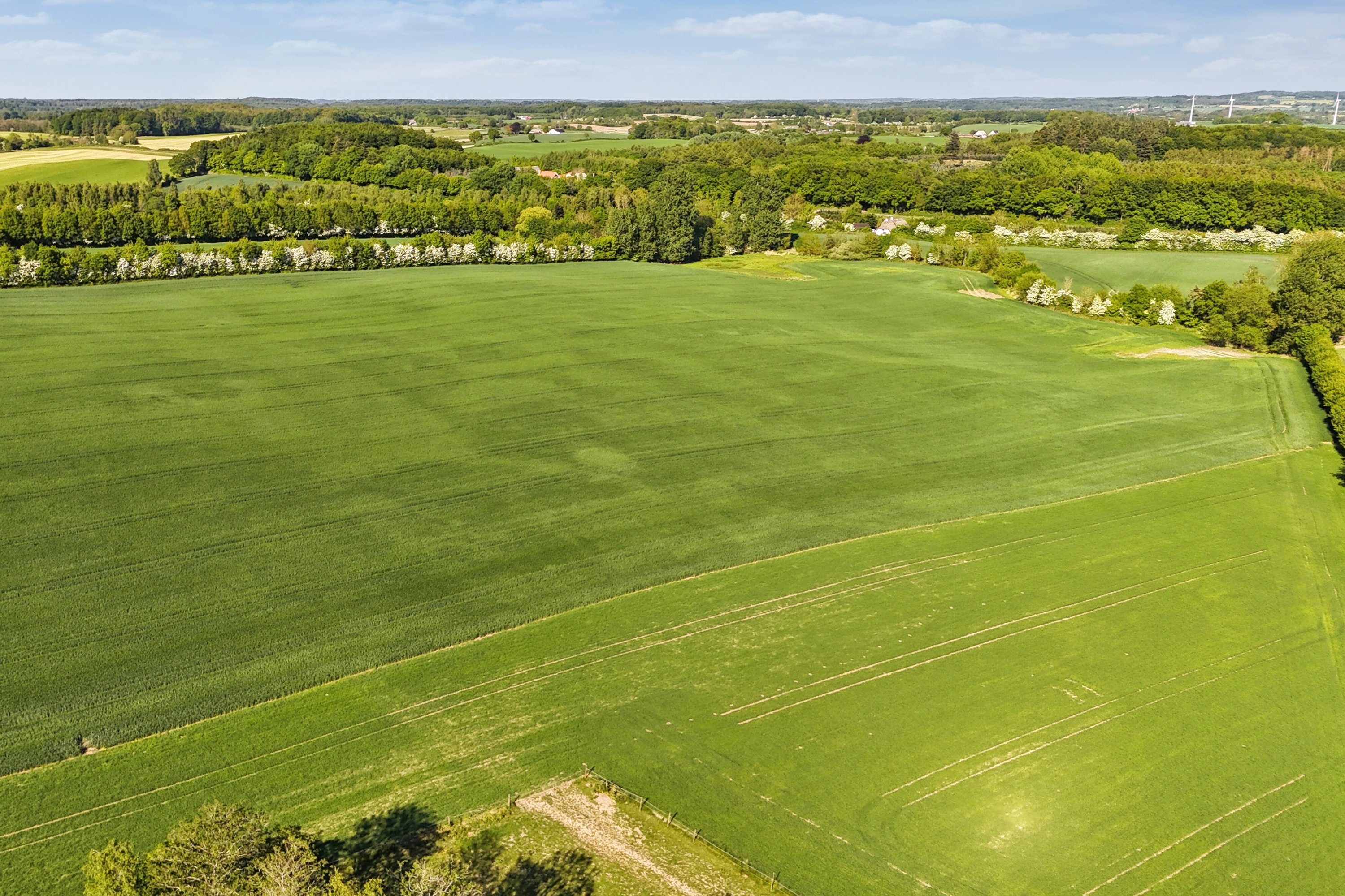 Fremhævet luftfoto billede i fuldskærmstilstand. Billede af Sølvbjergvej 2, Pejrup, 5600 Faaborg