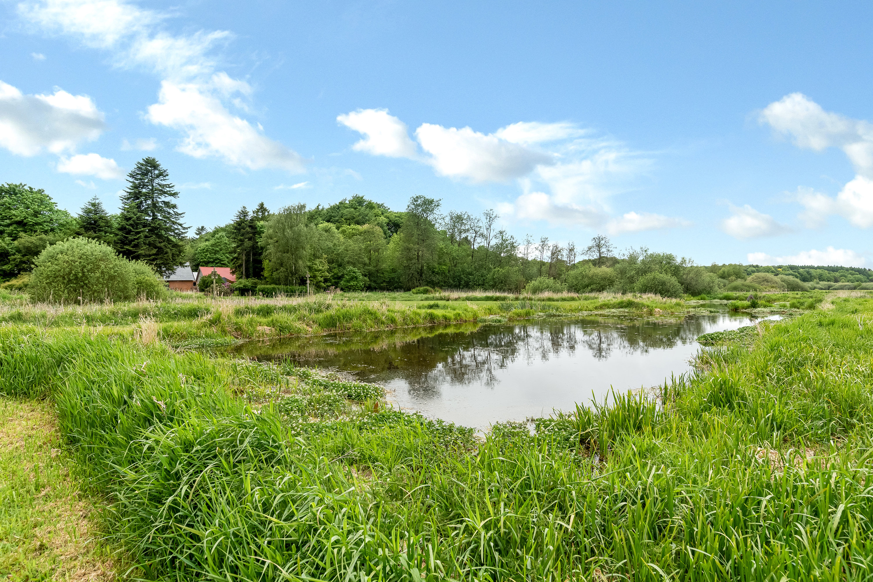 Fremhævet jordtilliggende billede i fuldskærmstilstand. Billede af Skalmstrupvej 16, 7850 Stoholm Jyll