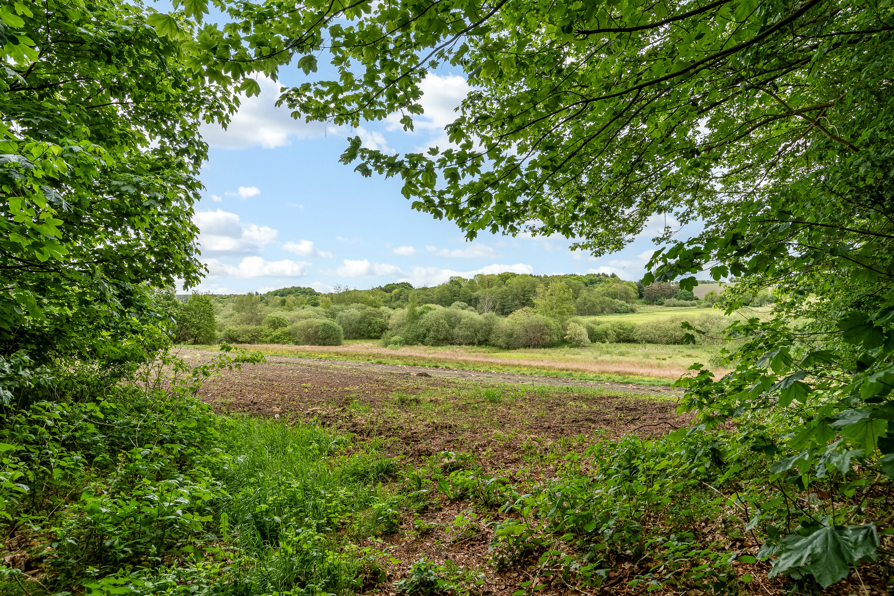 Fremhævet jordtilliggende billede i fuldskærmstilstand. Billede af Skalmstrupvej 16, 7850 Stoholm Jyll