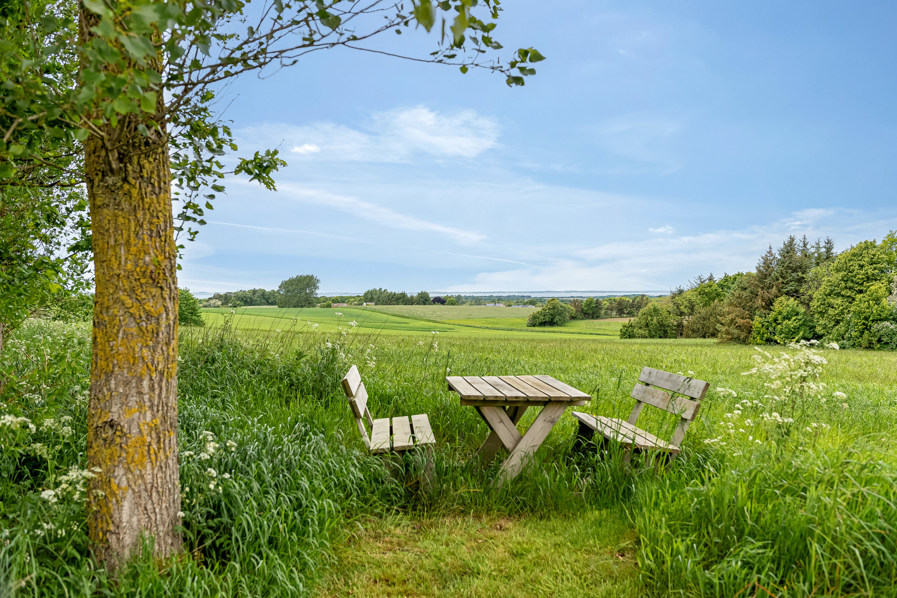 Miniaturebillede 2: udsigt. Billede af Skovlundvej 16, Svenstrup, 7830 Vinderup