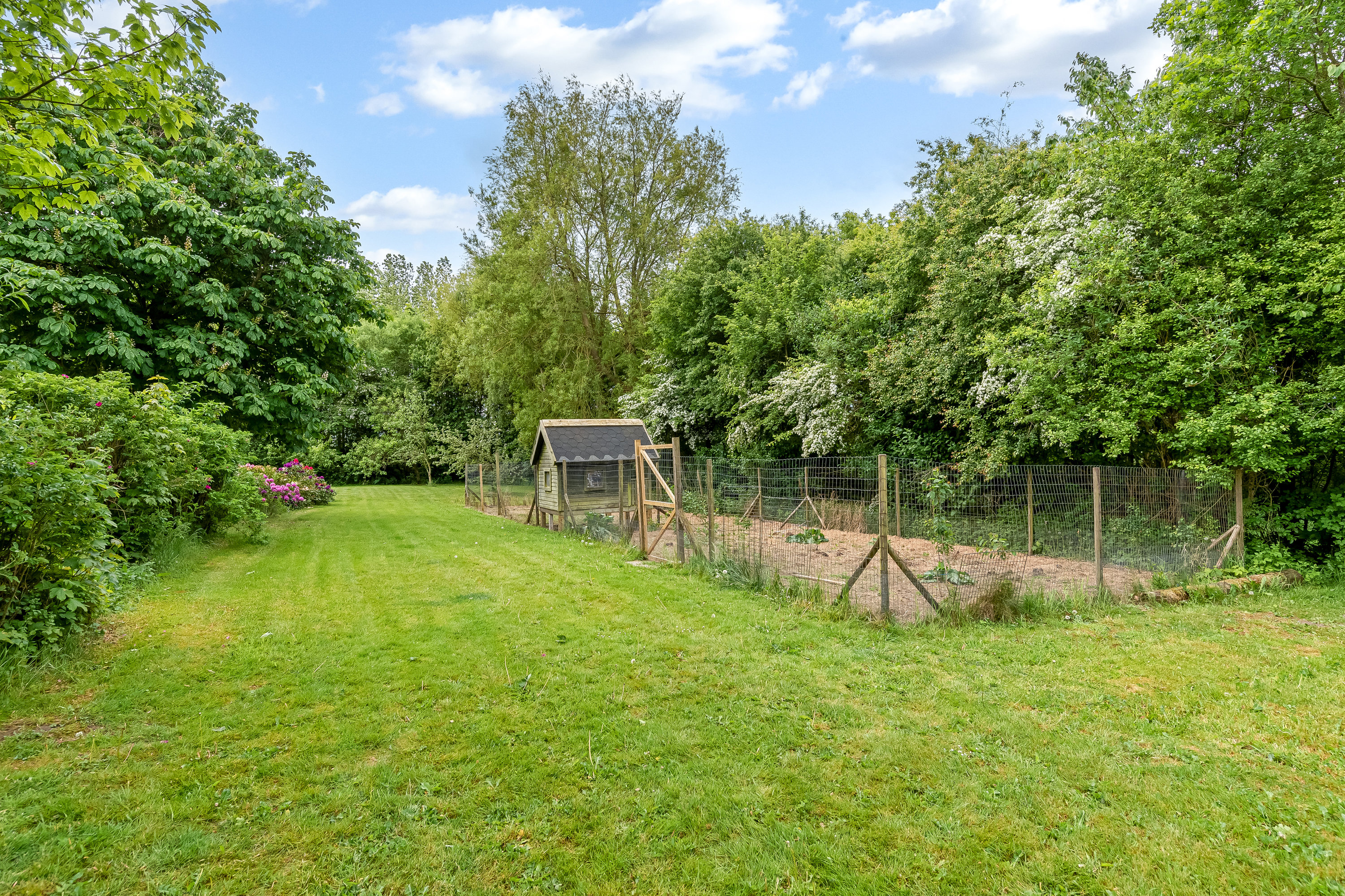 Fremhævet have billede i fuldskærmstilstand. Billede af Skovlundvej 16, Svenstrup, 7830 Vinderup