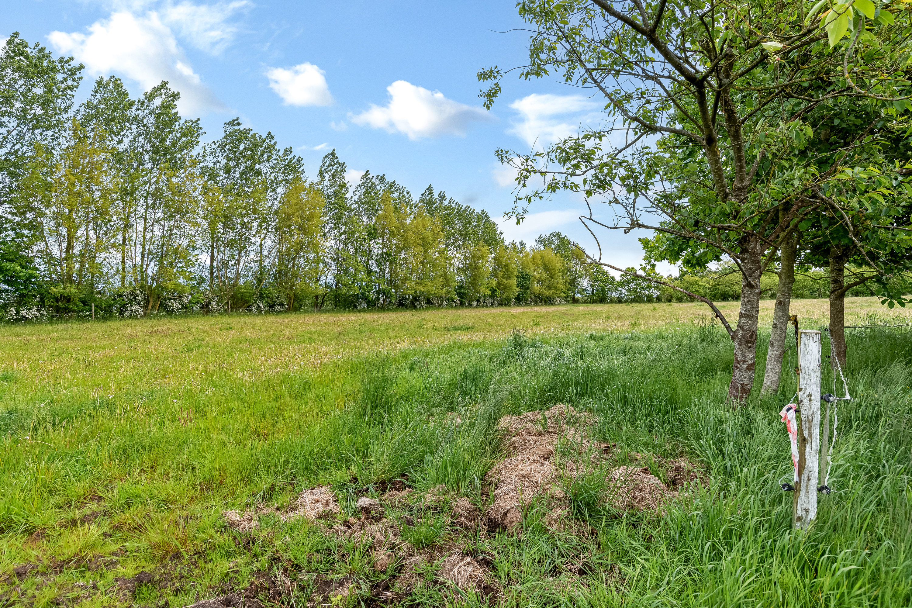 Fremhævet jordtilliggende billede i fuldskærmstilstand. Billede af Skovlundvej 16, Svenstrup, 7830 Vinderup