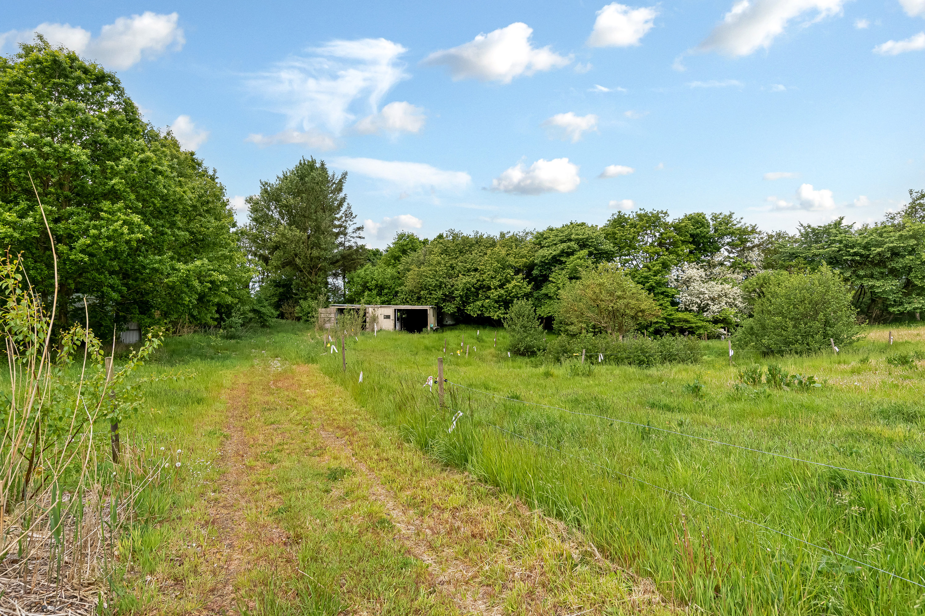 Fremhævet jordtilliggende billede i fuldskærmstilstand. Billede af Skovlundvej 16, Svenstrup, 7830 Vinderup