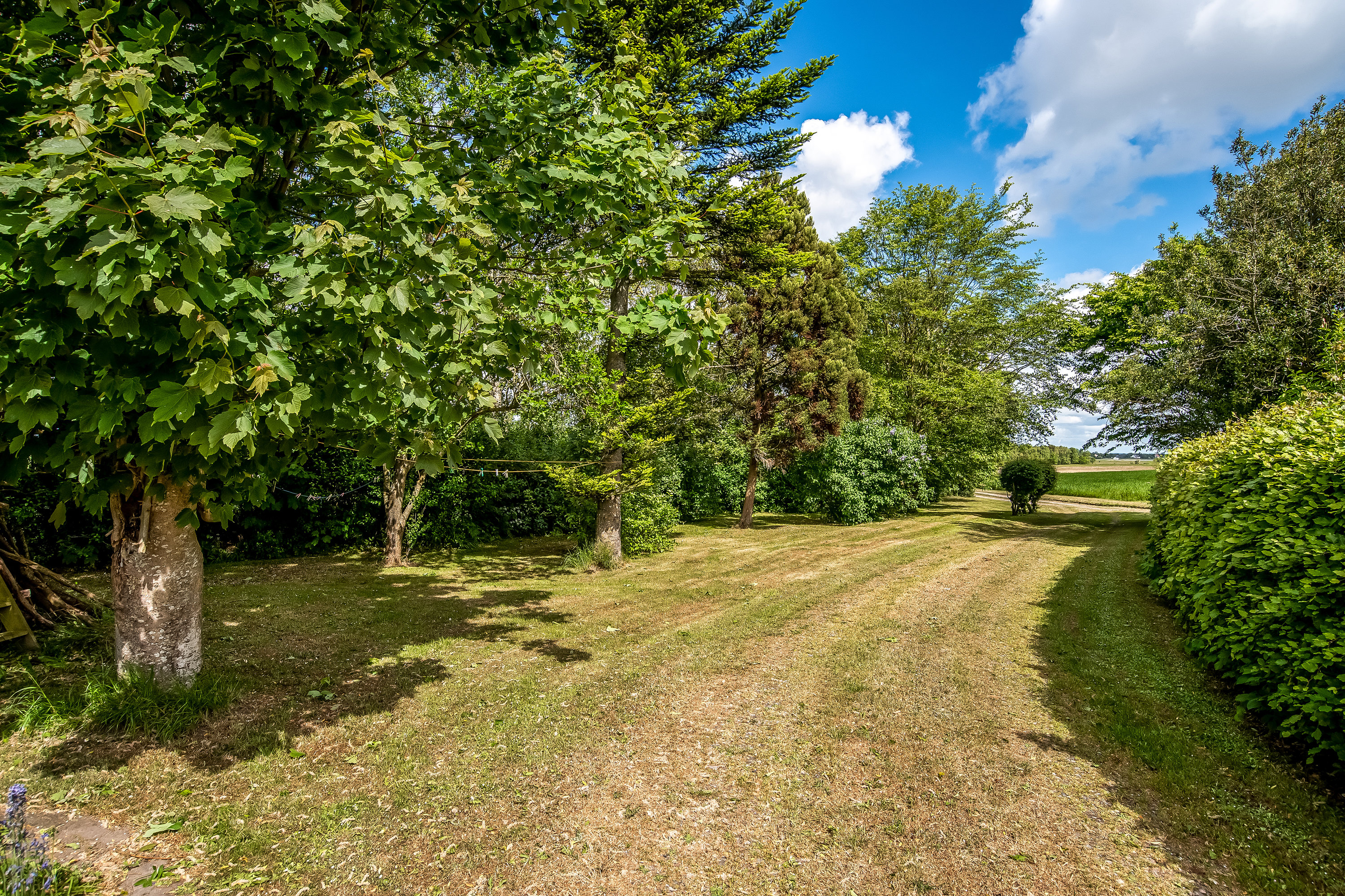 Fremhævet  billede i fuldskærmstilstand. Billede af Marendal 2, Jegindø, 7790 Thyholm