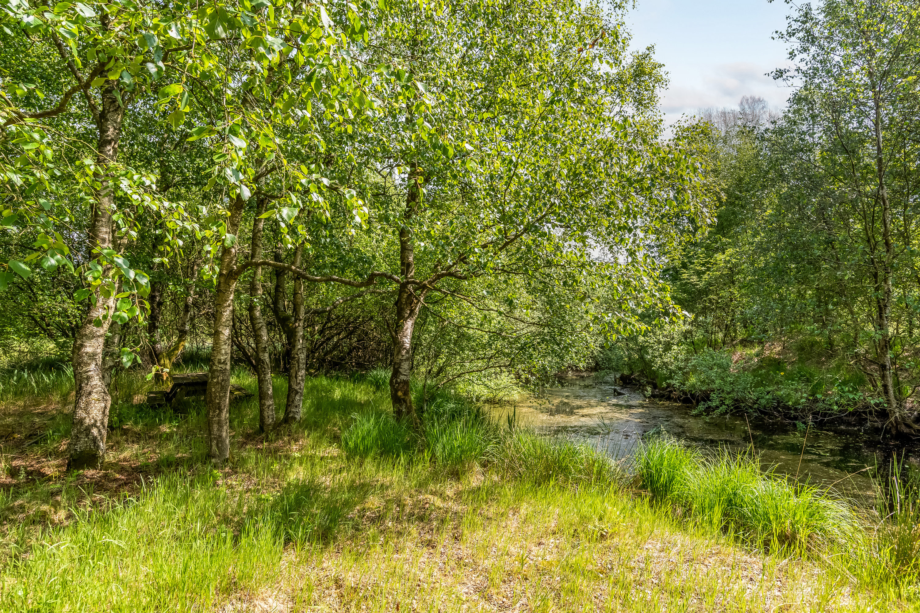 Fremhævet jordtilliggende billede i fuldskærmstilstand. Billede af Birkemosevej 10, Karstoft, 6933 Kibæk