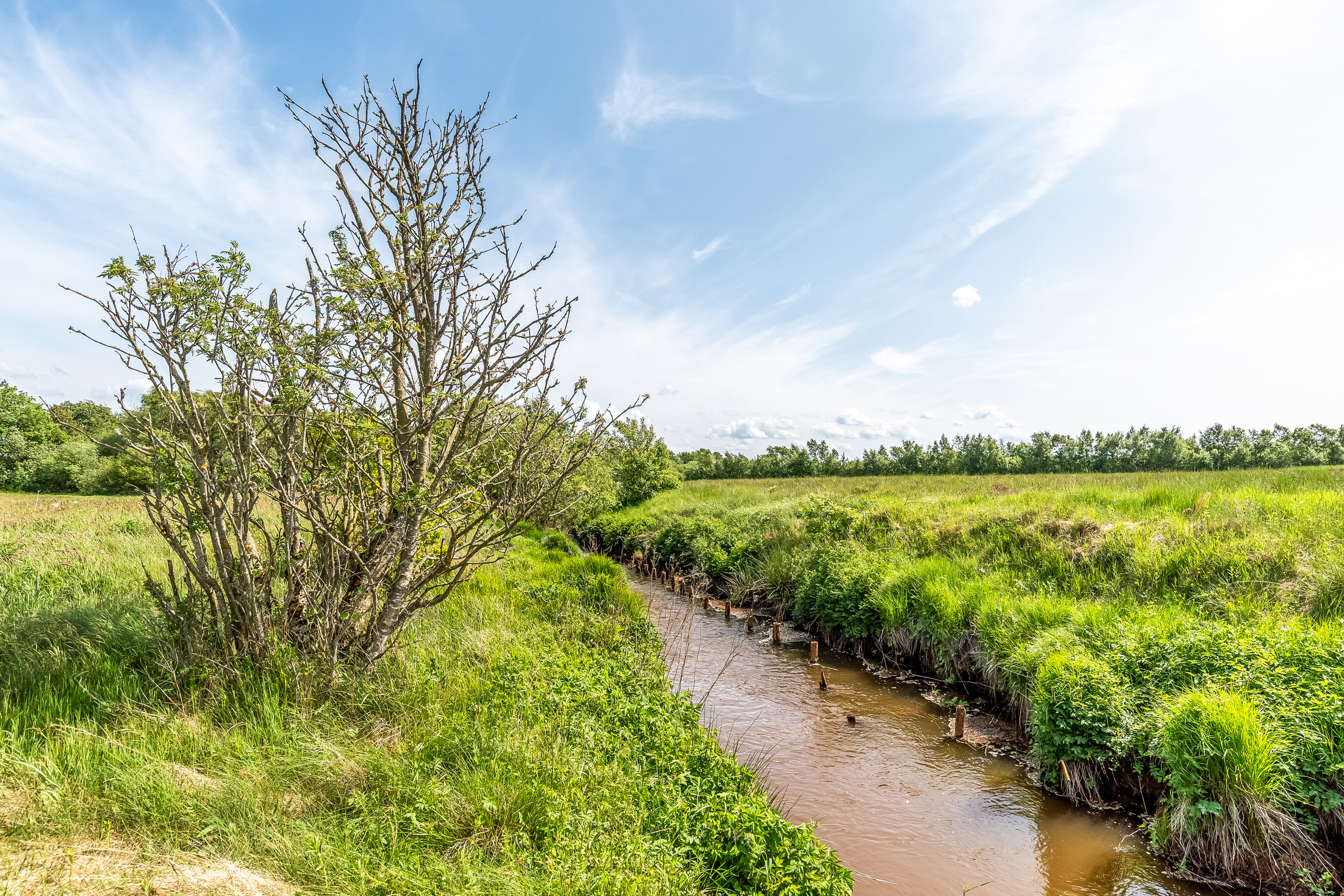 Miniaturebillede 2: jordtilliggende. Billede af Birkemosevej 10, Karstoft, 6933 Kibæk