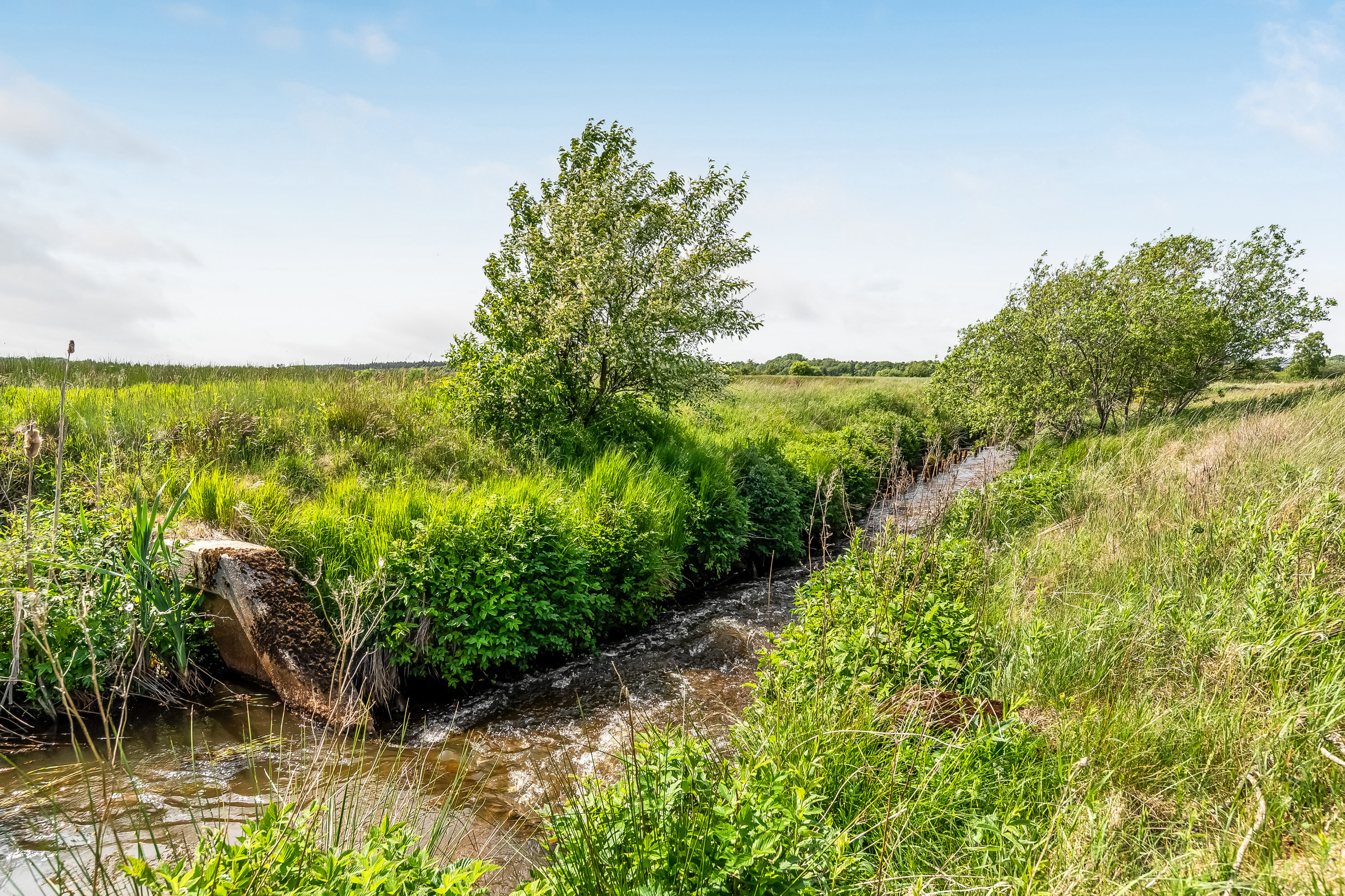 Fremhævet jordtilliggende billede i fuldskærmstilstand. Billede af Birkemosevej 10, Karstoft, 6933 Kibæk