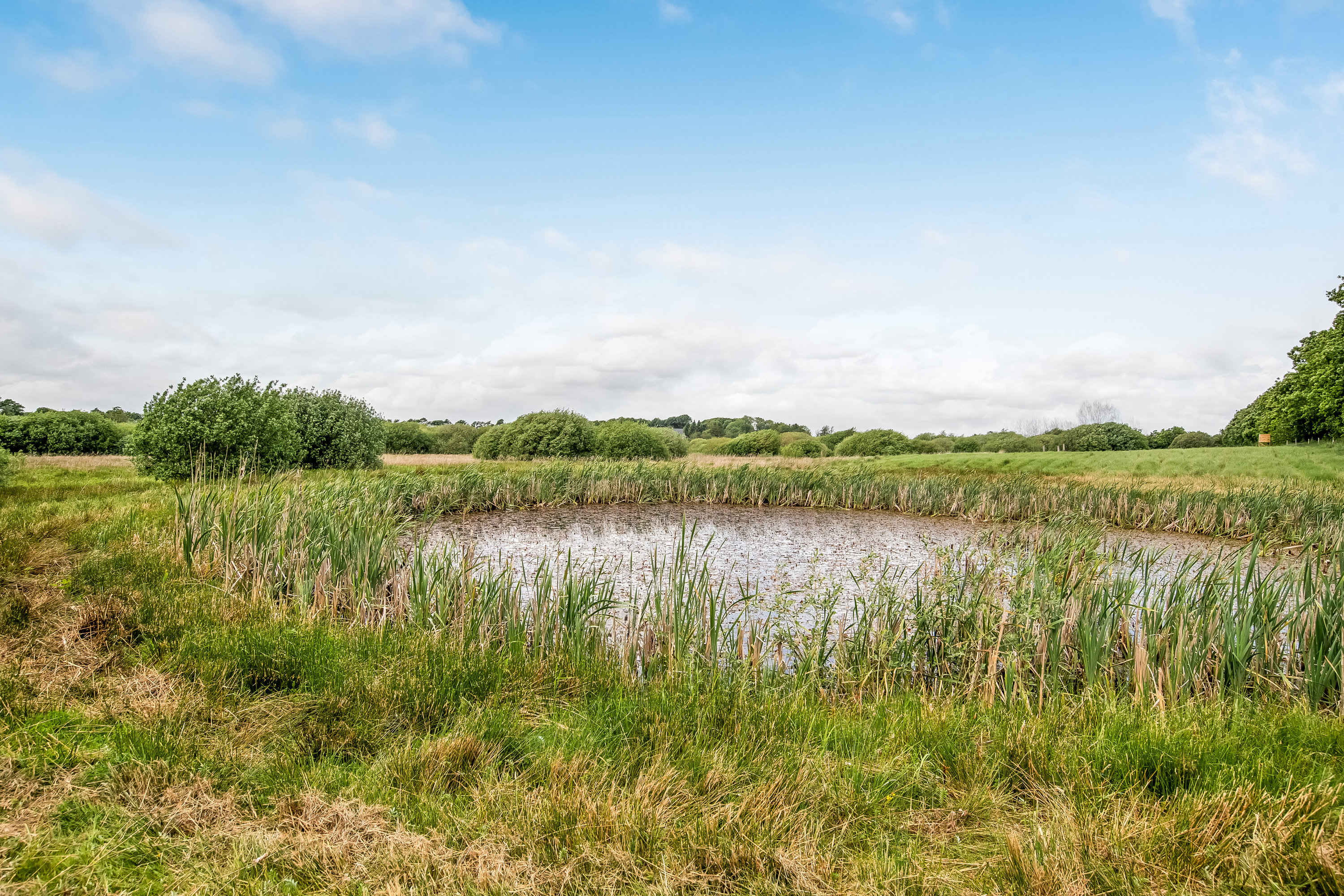 Fremhævet andet billede i fuldskærmstilstand. Billede af Egebjergvej 32B, Vridsted, 7800 Skive
