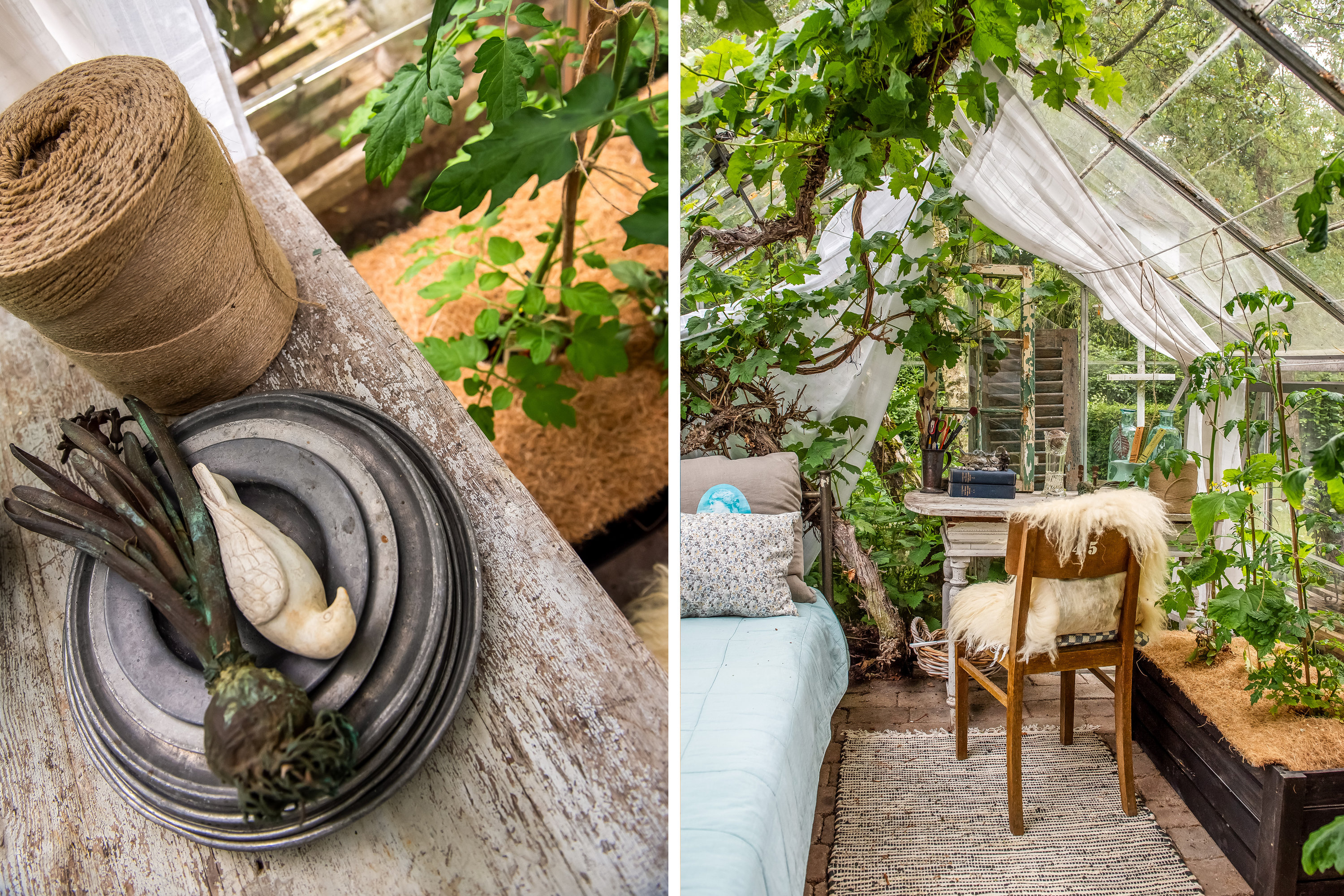 Fremhævet drivhus billede i fuldskærmstilstand. Billede af Egebjergvej 32B, Vridsted, 7800 Skive