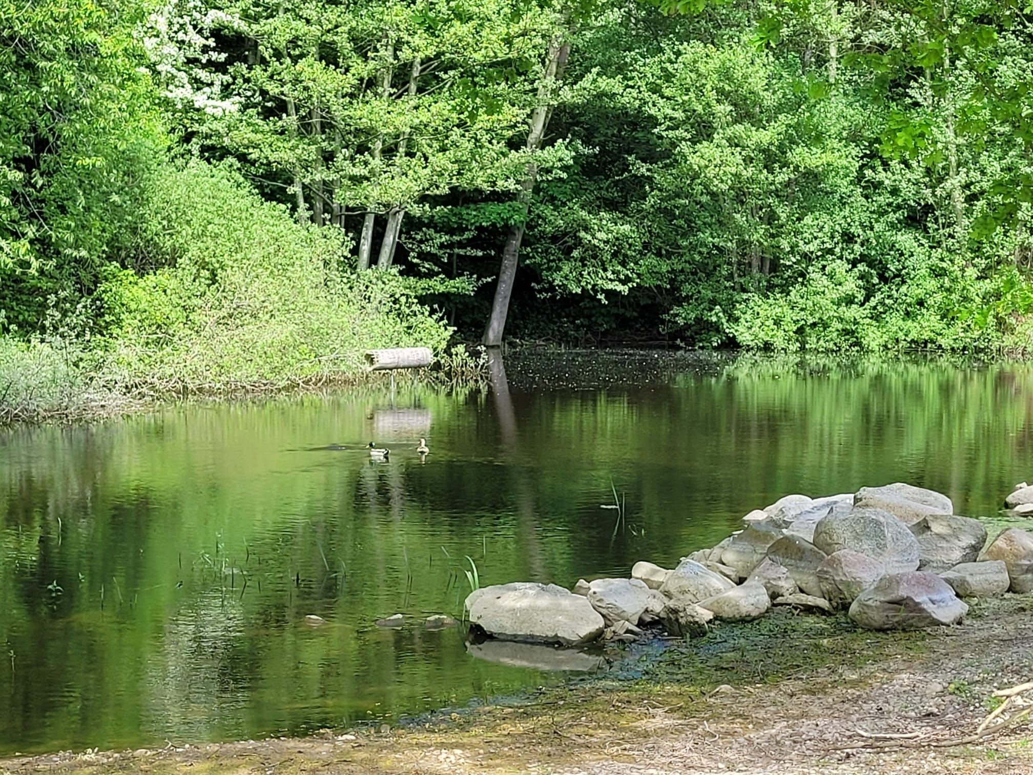 Fremhævet  billede i fuldskærmstilstand. Billede af Svanningehuse 30, Diernæs, 5600 Faaborg