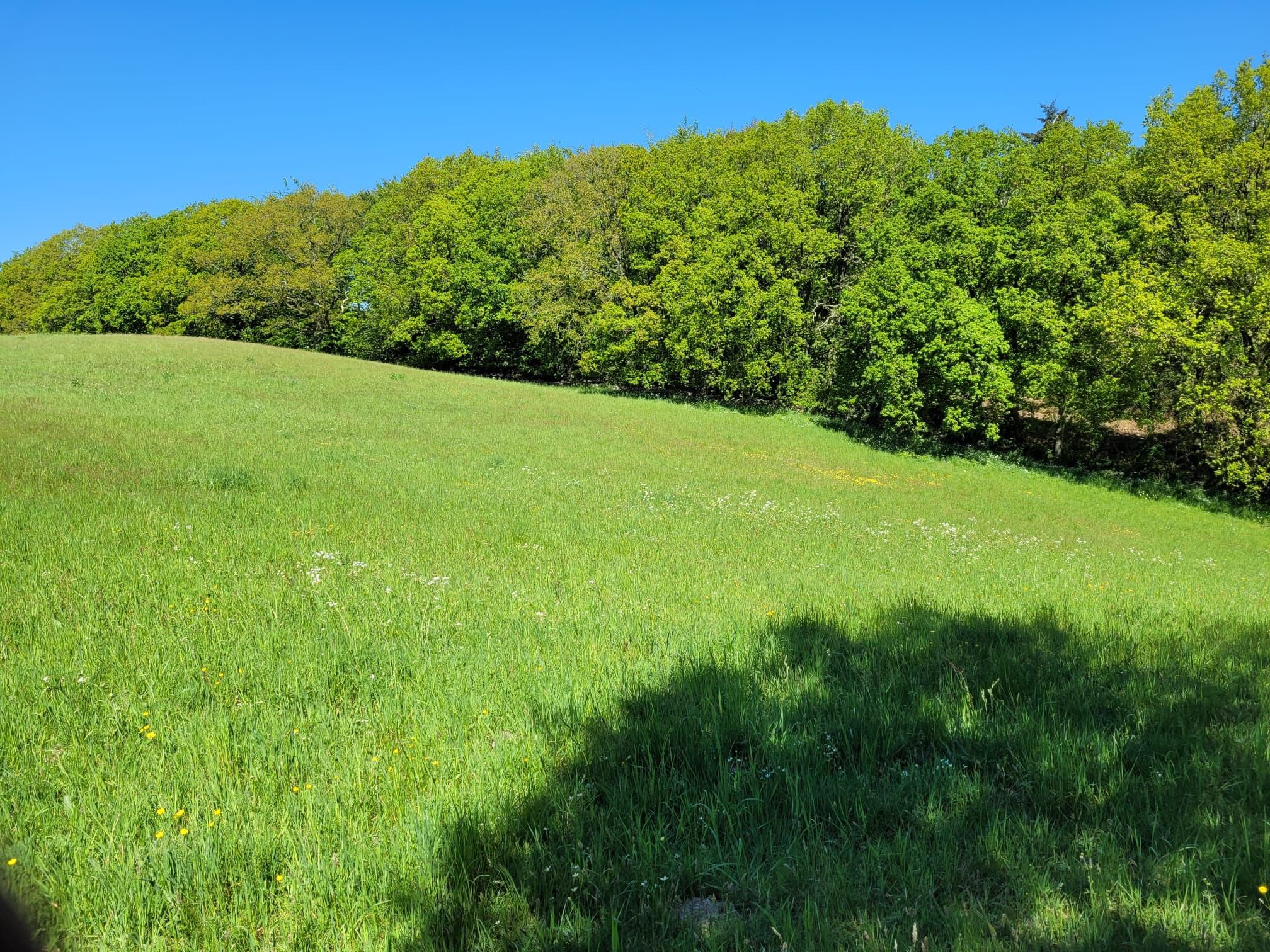Fremhævet  billede i fuldskærmstilstand. Billede af Svanningehuse 30, Diernæs, 5600 Faaborg