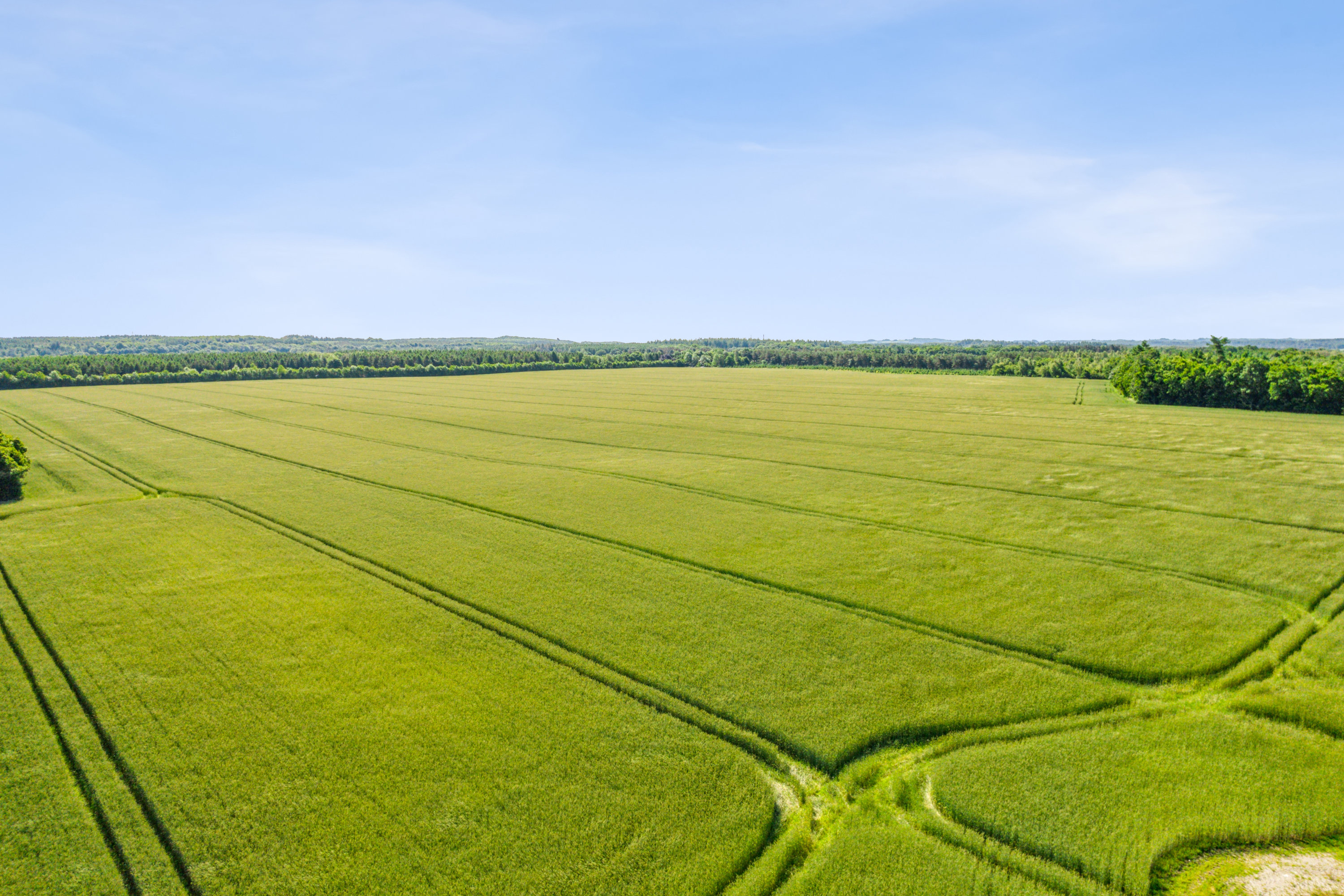 Fremhævet  billede i fuldskærmstilstand. Billede af Århusvej 23A, Auning Mark, 8963 Auning