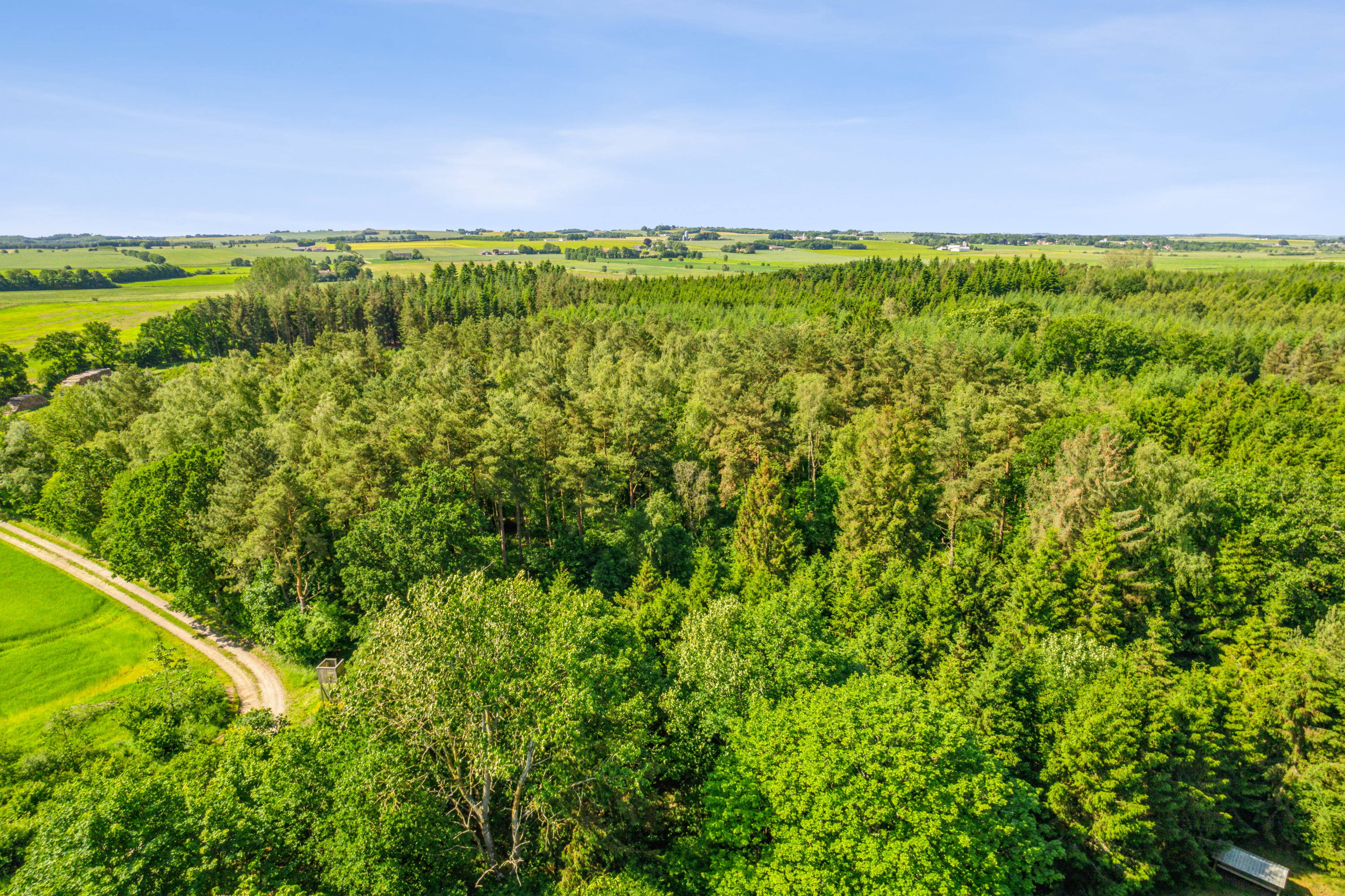 Fremhævet  billede i fuldskærmstilstand. Billede af Århusvej 23A, Auning Mark, 8963 Auning